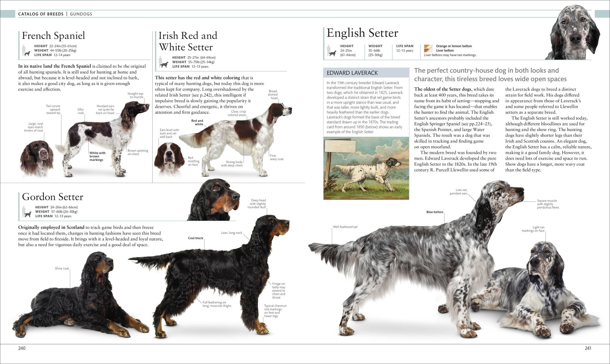The Dog Encyclopedia