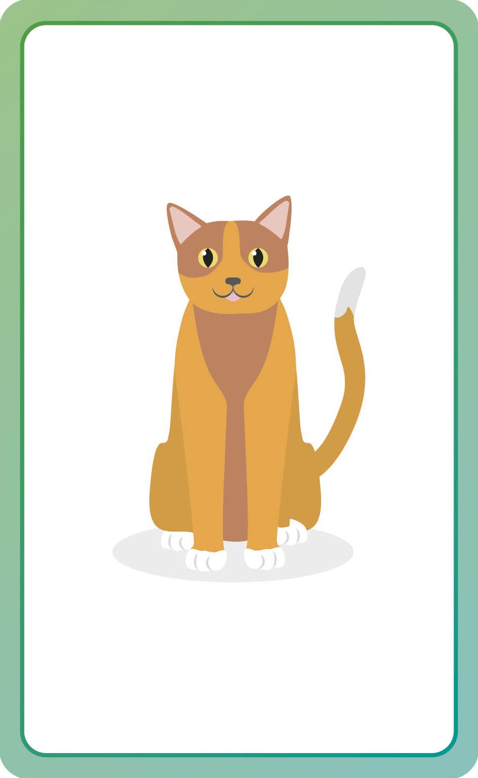 German for Everyone Junior First Words Flash Cards