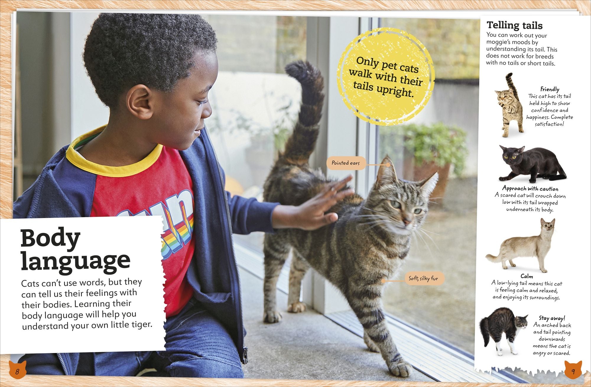 My Book of Cats and Kittens: A Fact-Filled Guide to Your Feline Friends