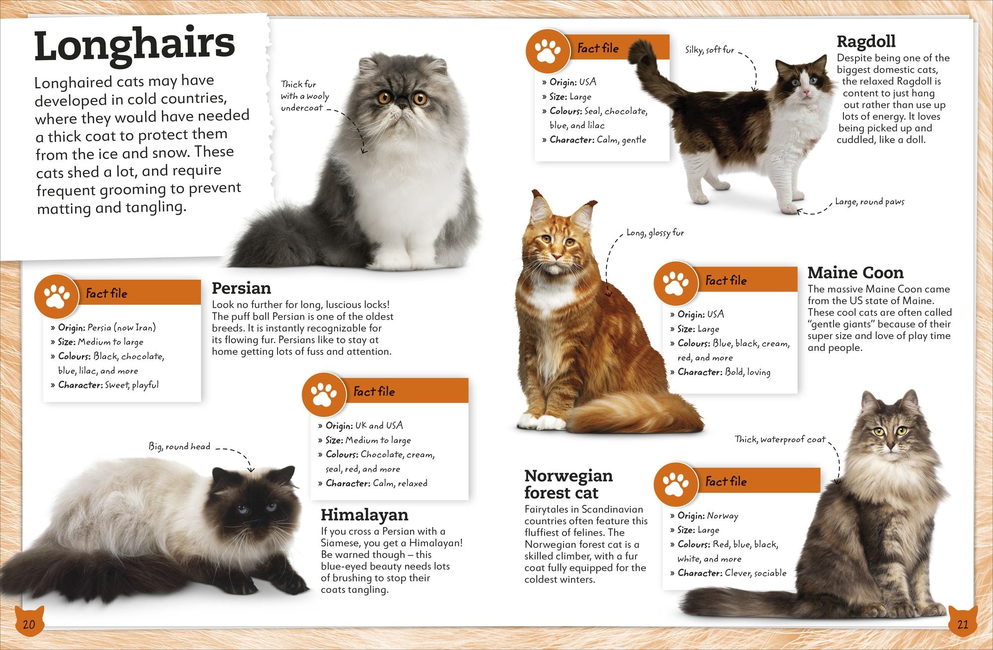 My Book of Cats and Kittens: A Fact-Filled Guide to Your Feline Friends
