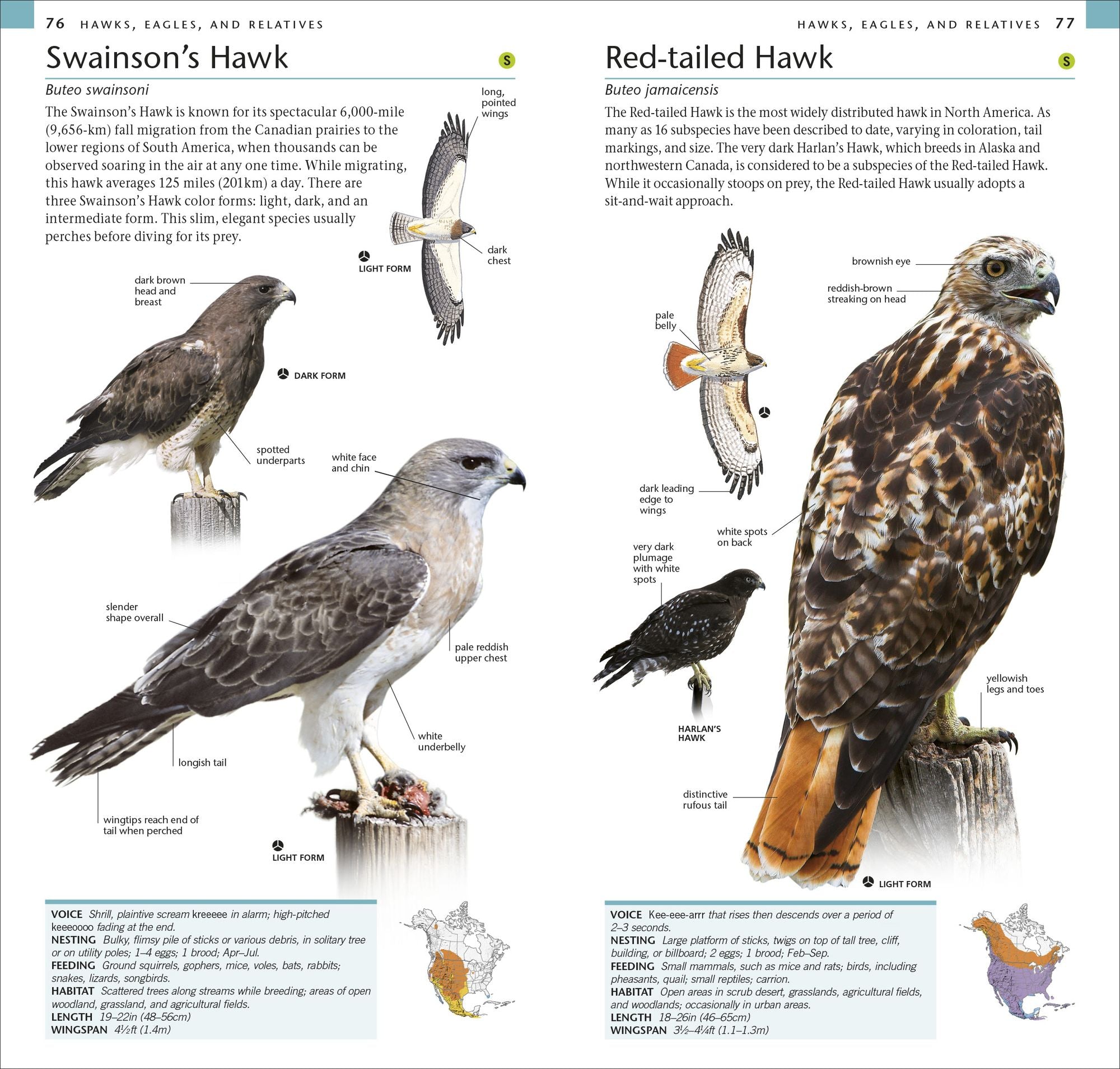 AMNH Pocket Birds of North America Western Region