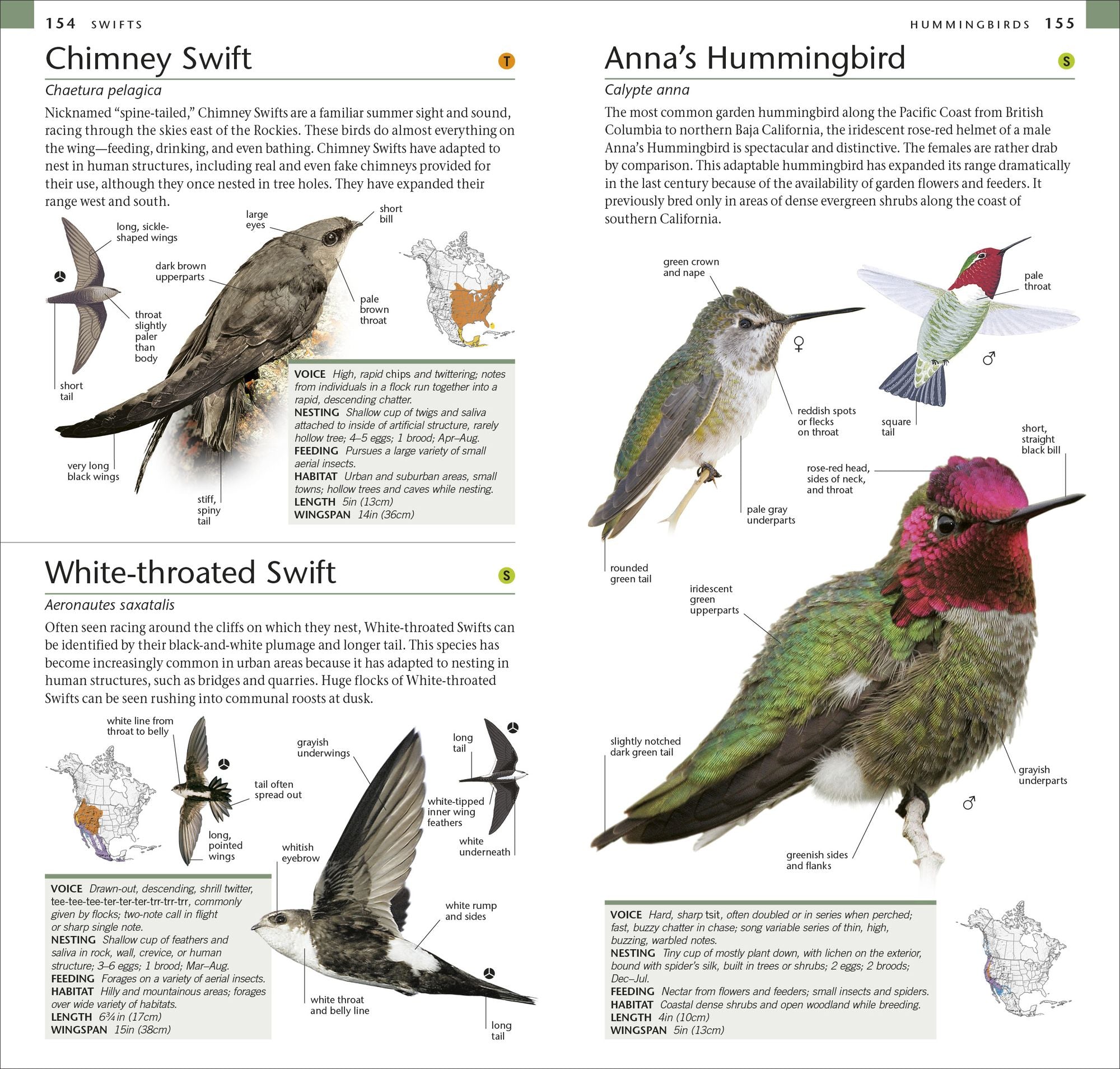 AMNH Pocket Birds of North America Western Region