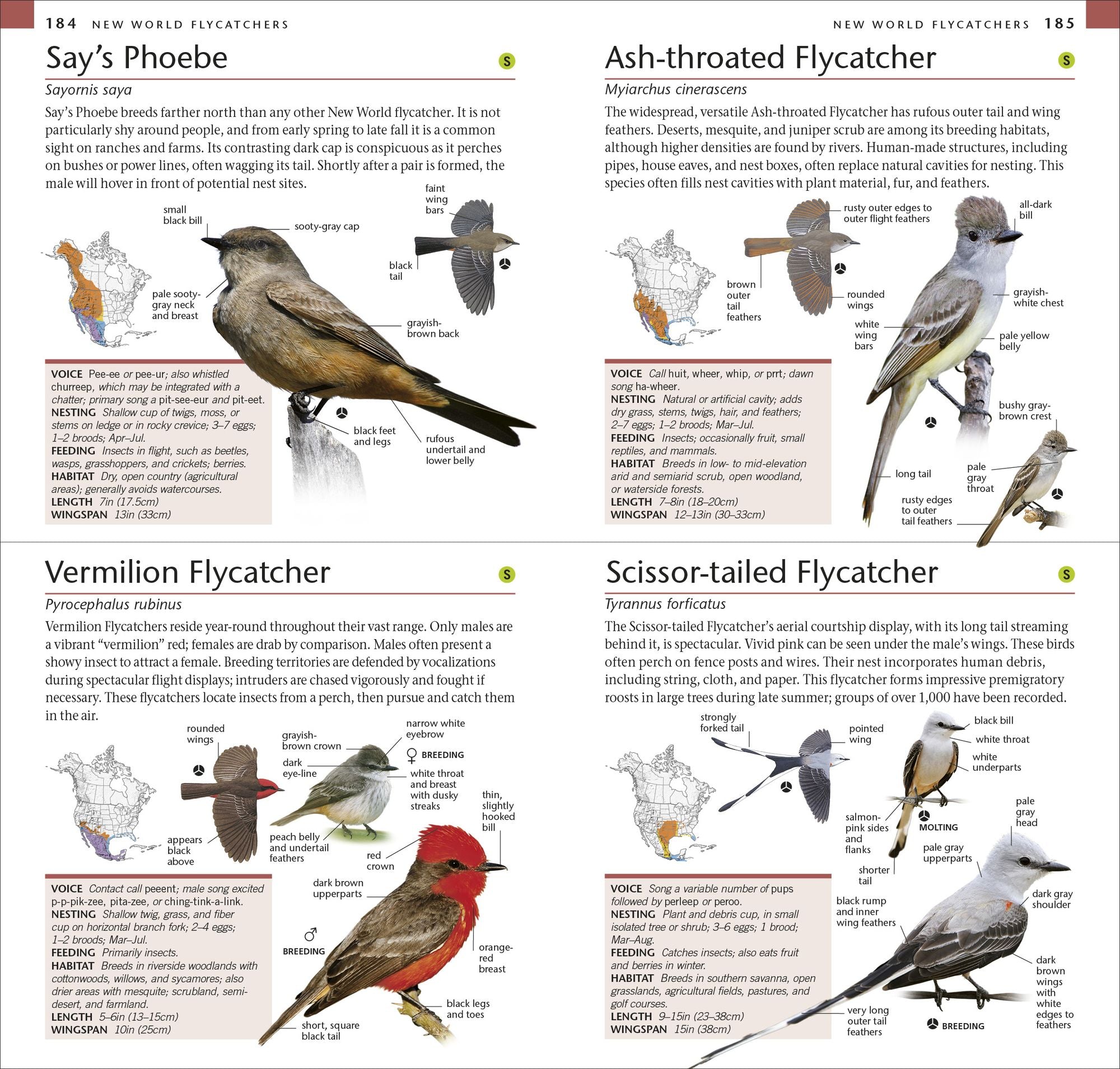 AMNH Pocket Birds of North America Western Region