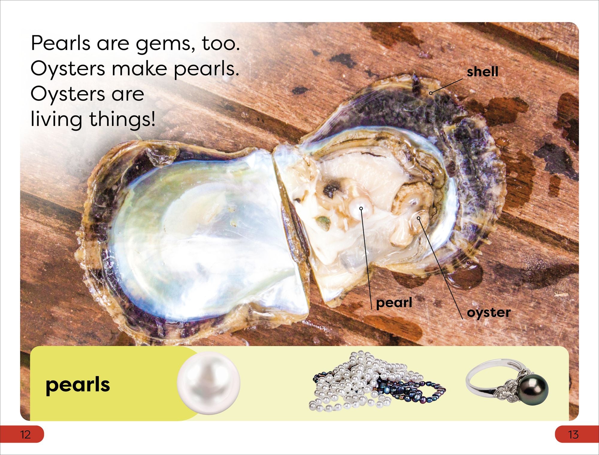 DK Super Readers Pre-Level Sparkly Gems