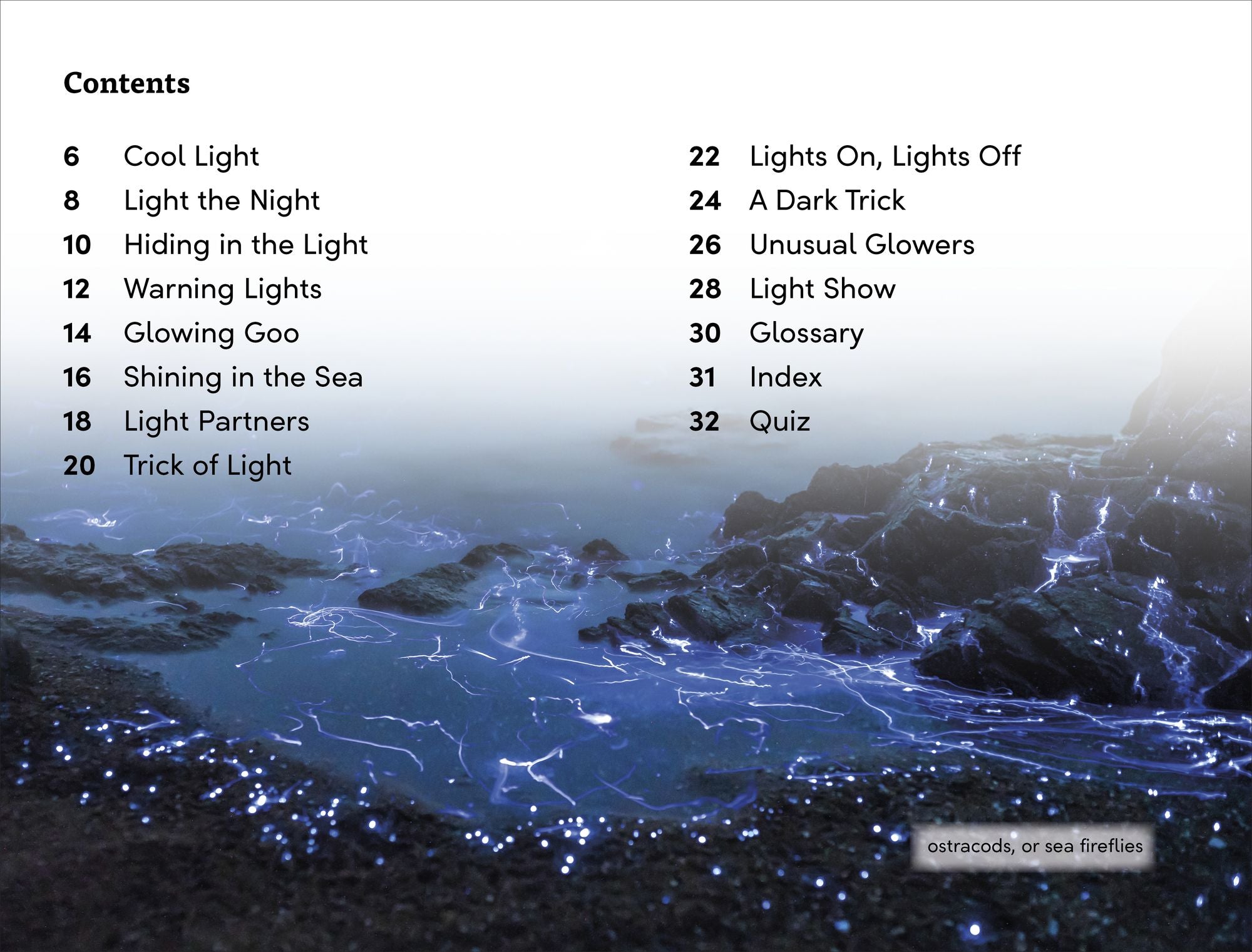 DK Super Readers Level 3 Bioluminescent Animals
