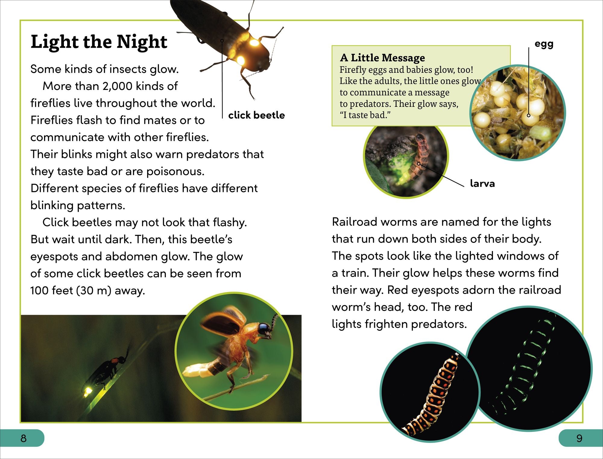 DK Super Readers Level 3 Bioluminescent Animals