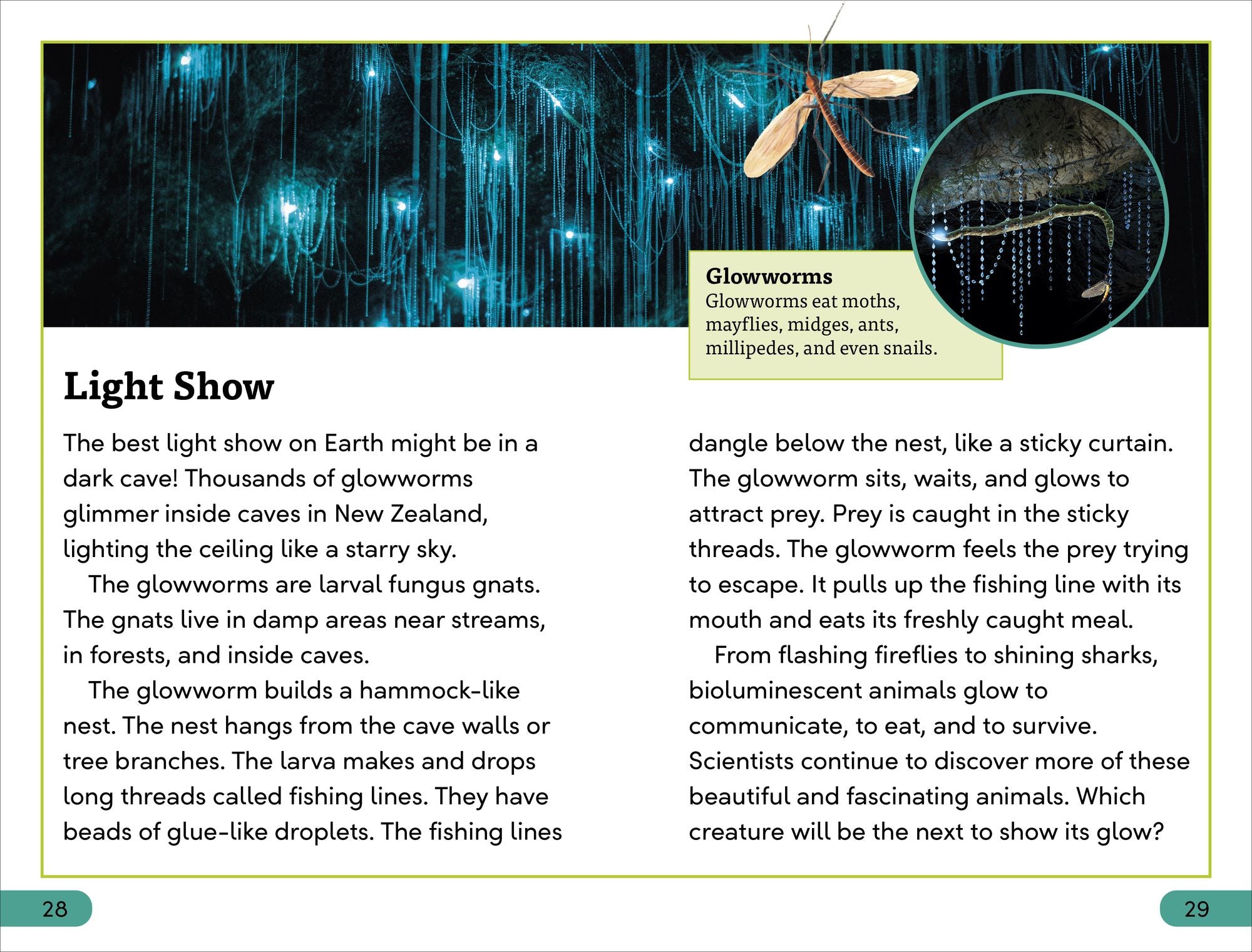 DK Super Readers Level 3 Bioluminescent Animals