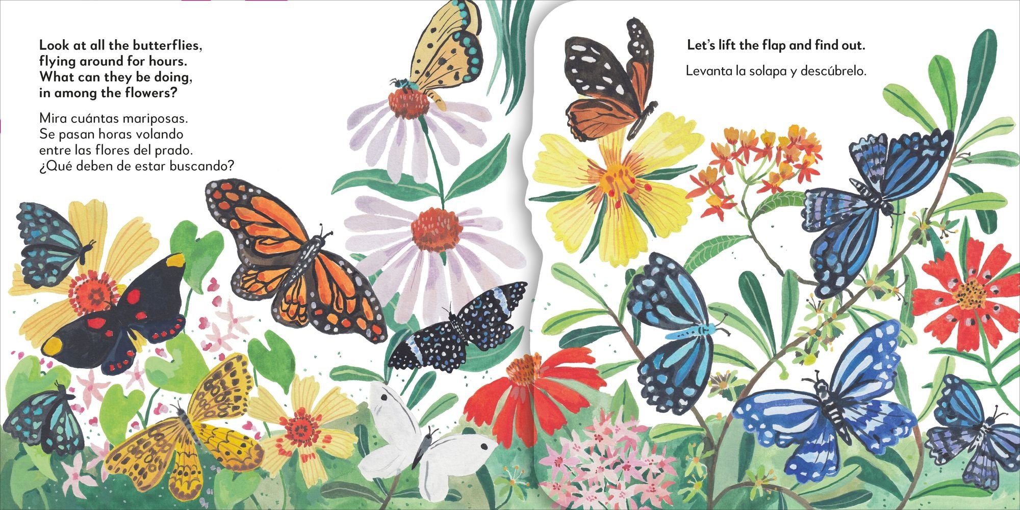 Bilingual Pop-Up Peekaboo! Butterfly - La mariposa