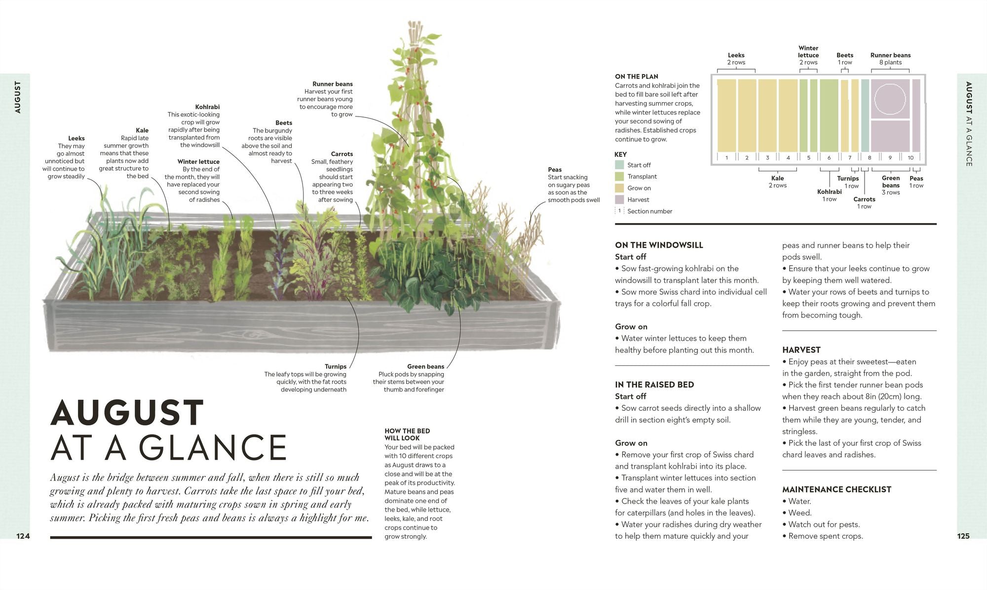 Veg in One Bed New Edition: How to Grow an Abundance of Food in One Raised Bed, Month by Month