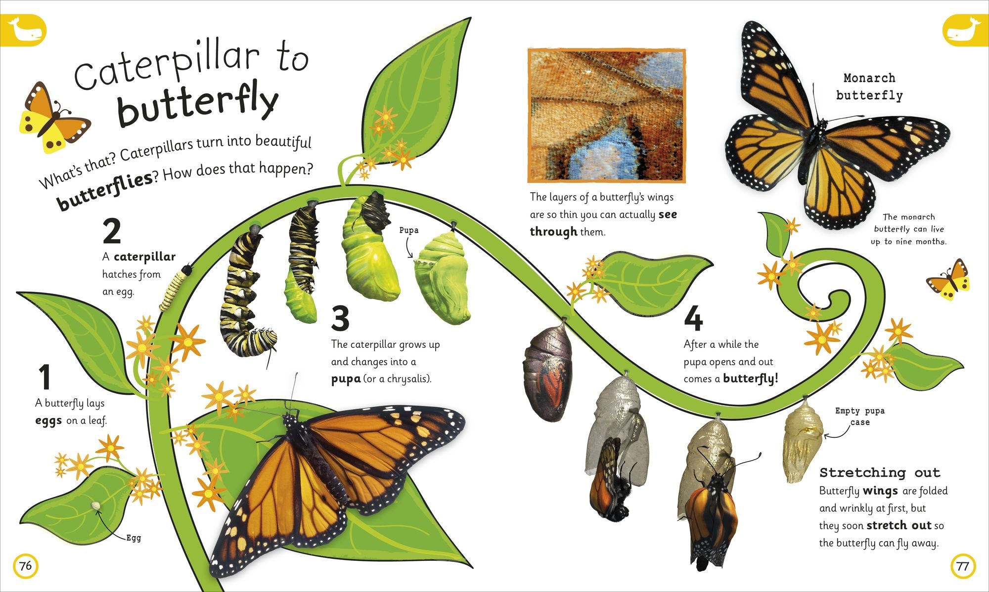 My Encyclopedia of Very Important Things: For Little Learners Who Want to Know Everything