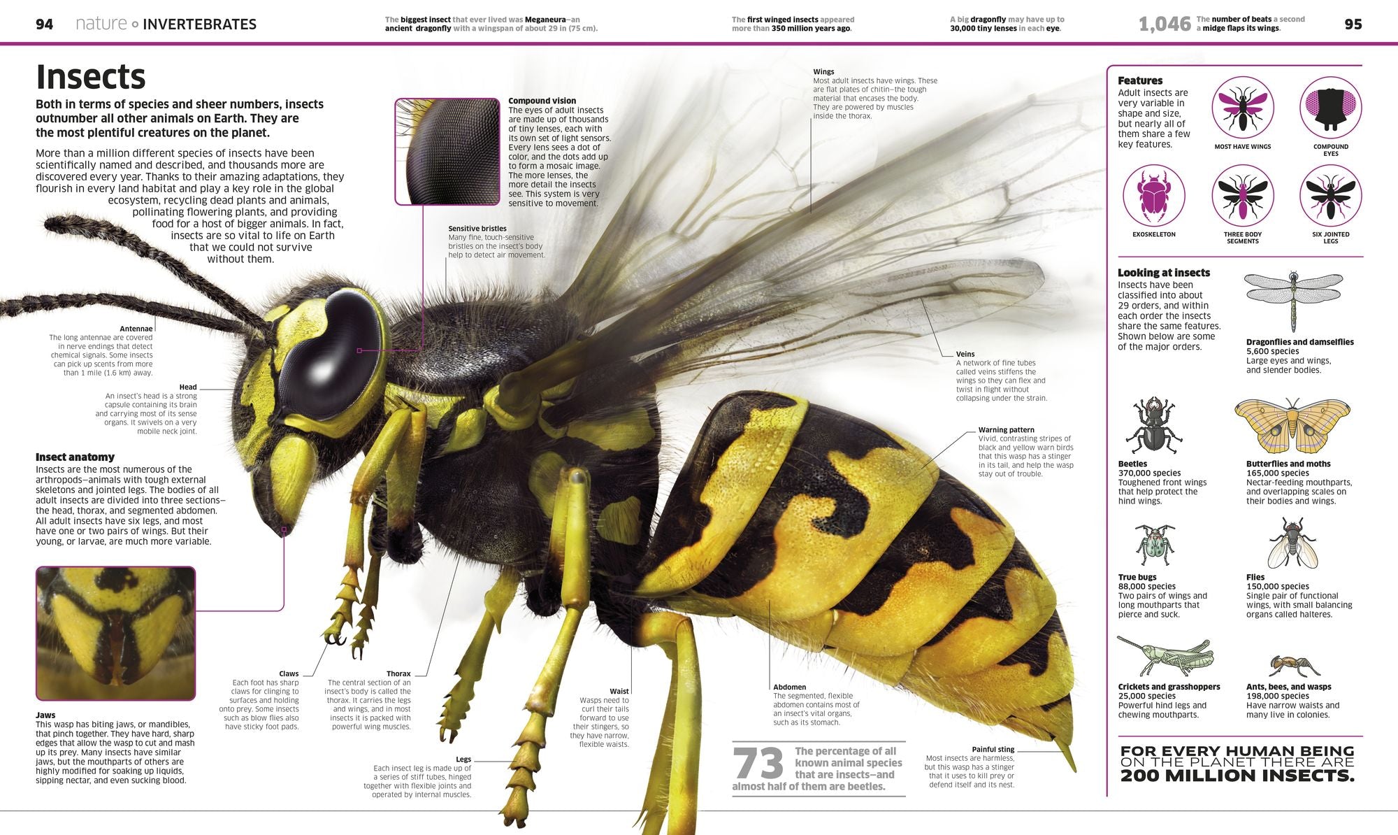 Knowledge Encyclopedia!: The World as You've Never Seen it Before