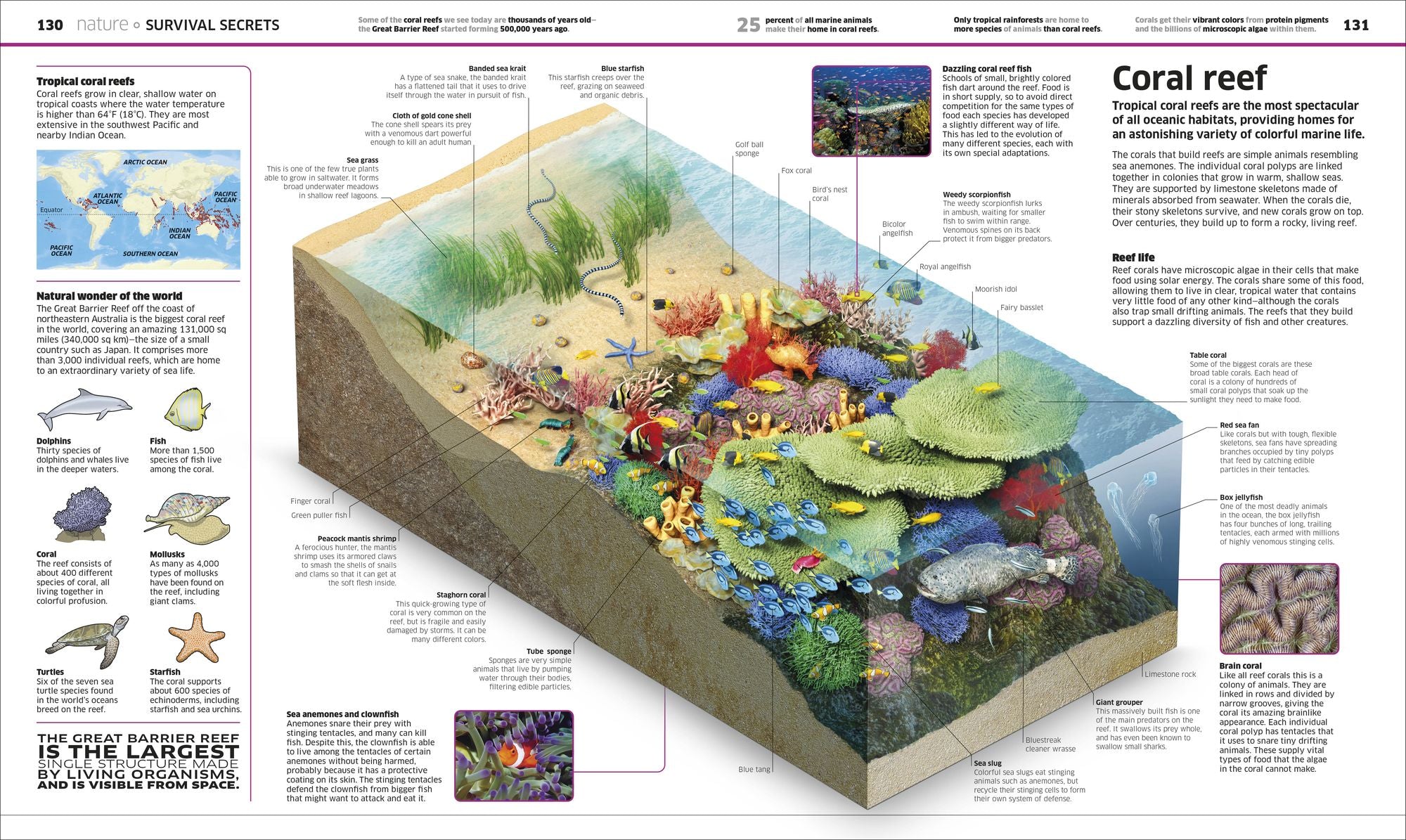 Knowledge Encyclopedia!: The World as You've Never Seen it Before