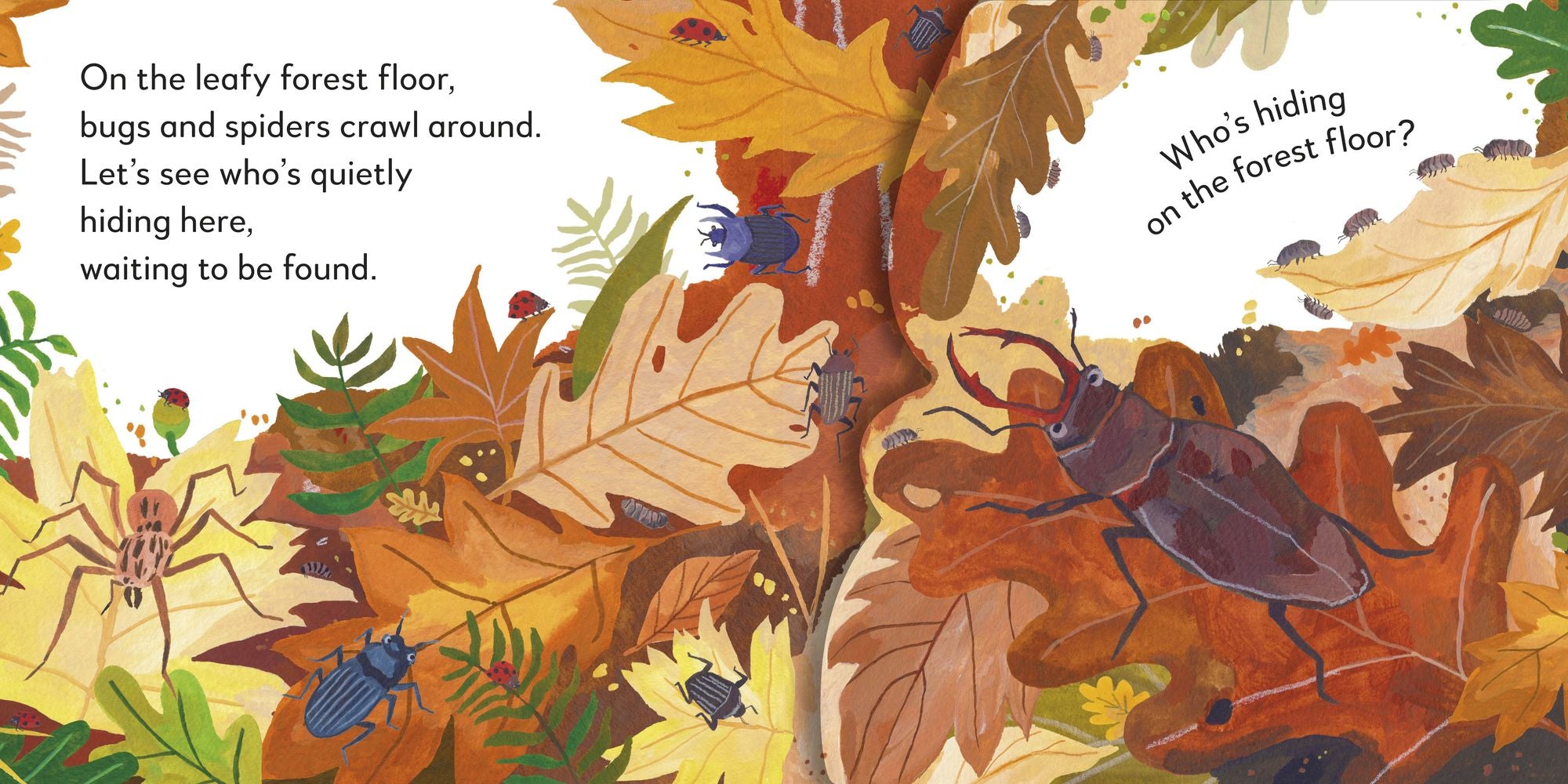 Pop-Up Peekaboo! Forest: A Woodland Surprise Under Every Flap!