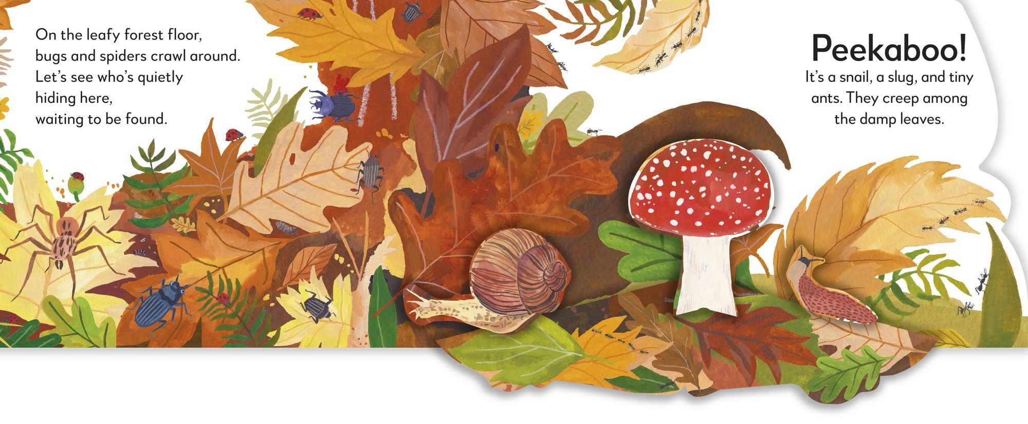 Pop-Up Peekaboo! Forest: A Woodland Surprise Under Every Flap!