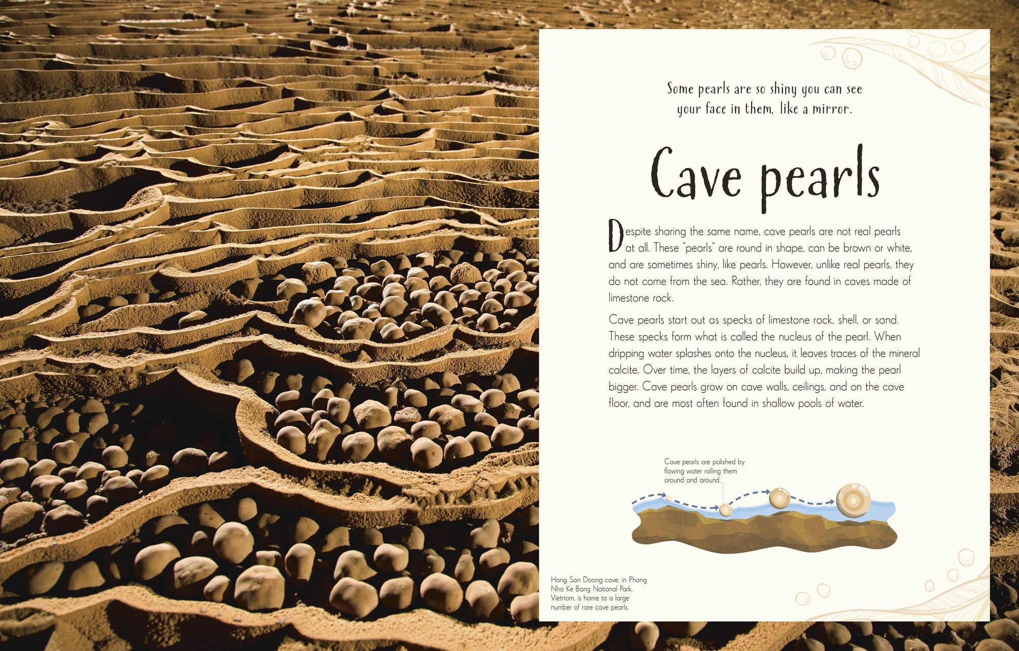 An Anthology of Our Extraordinary Earth: Discover the Awe-Inspiring Wonders of Planet Earth