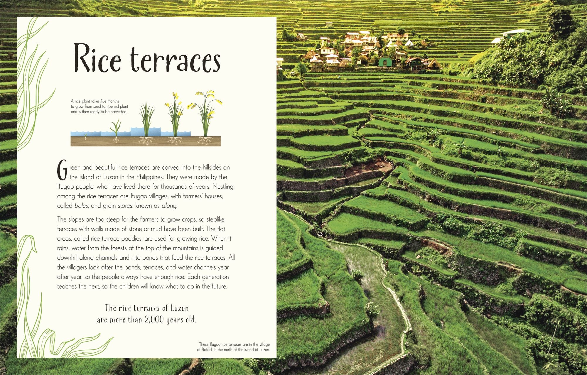 An Anthology of Our Extraordinary Earth: Discover the Awe-Inspiring Wonders of Planet Earth