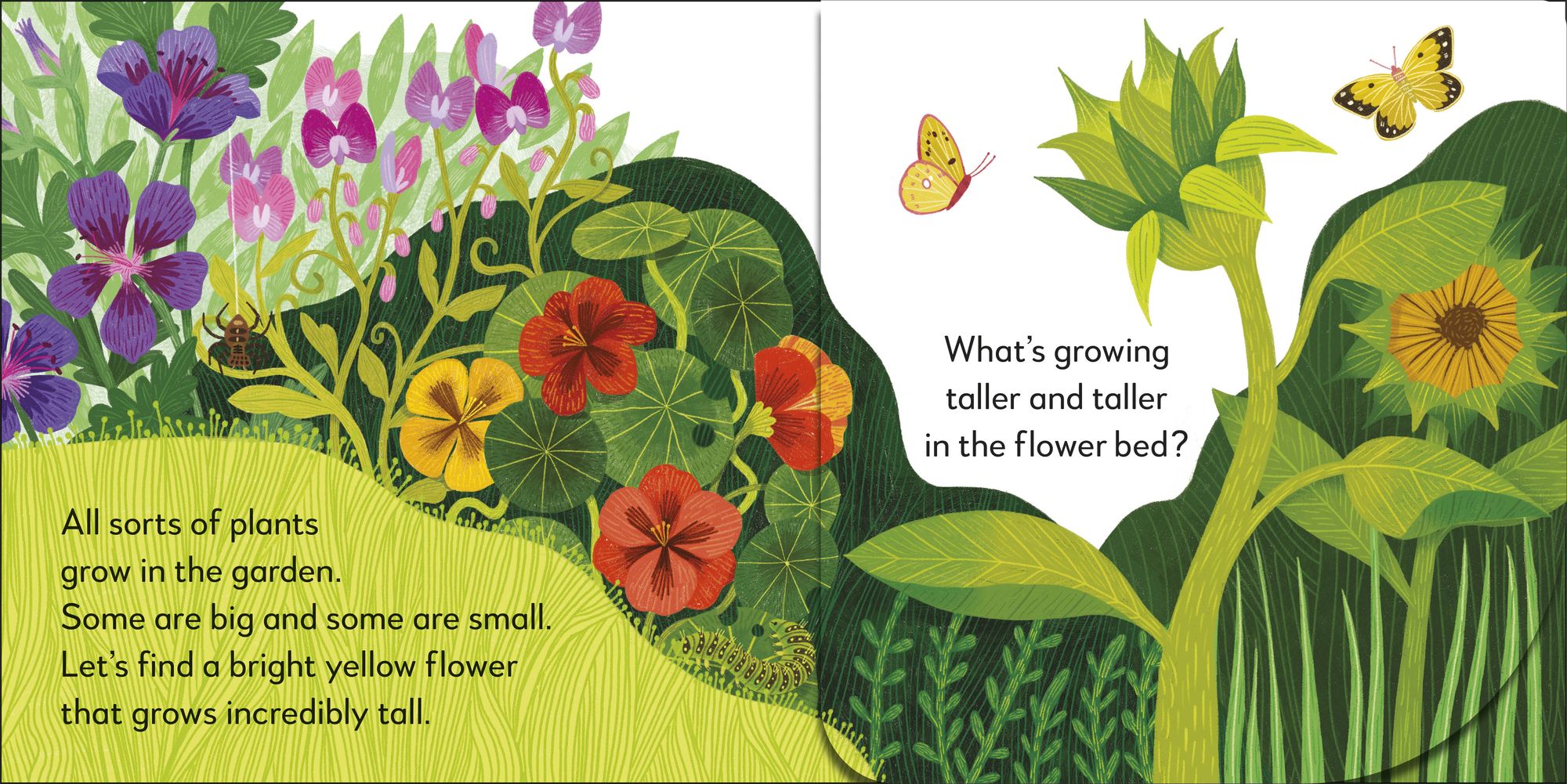 Pop-Up Peekaboo! Garden: A Colorful Surprise Under Every Flap!