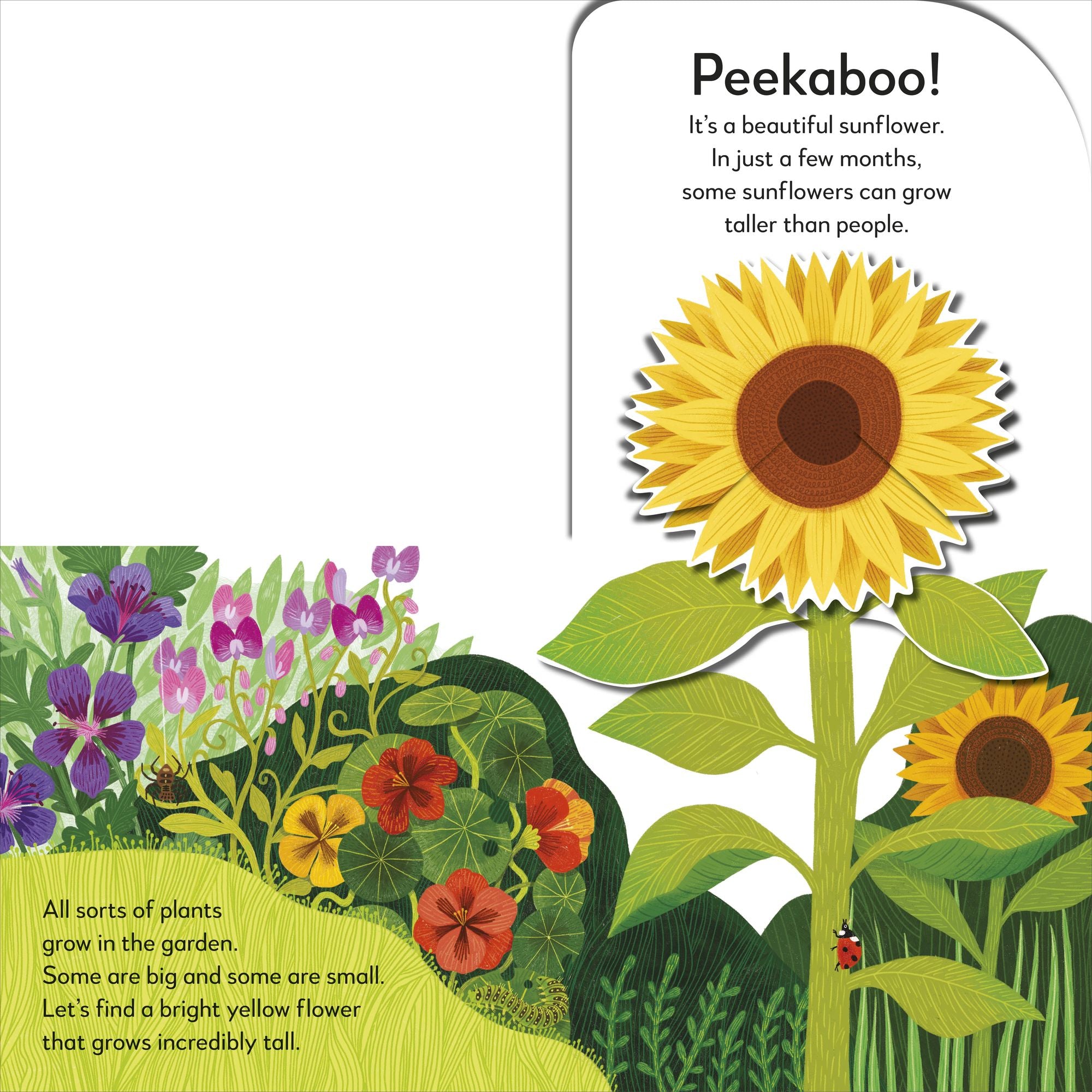 Pop-Up Peekaboo! Garden: A Colorful Surprise Under Every Flap!
