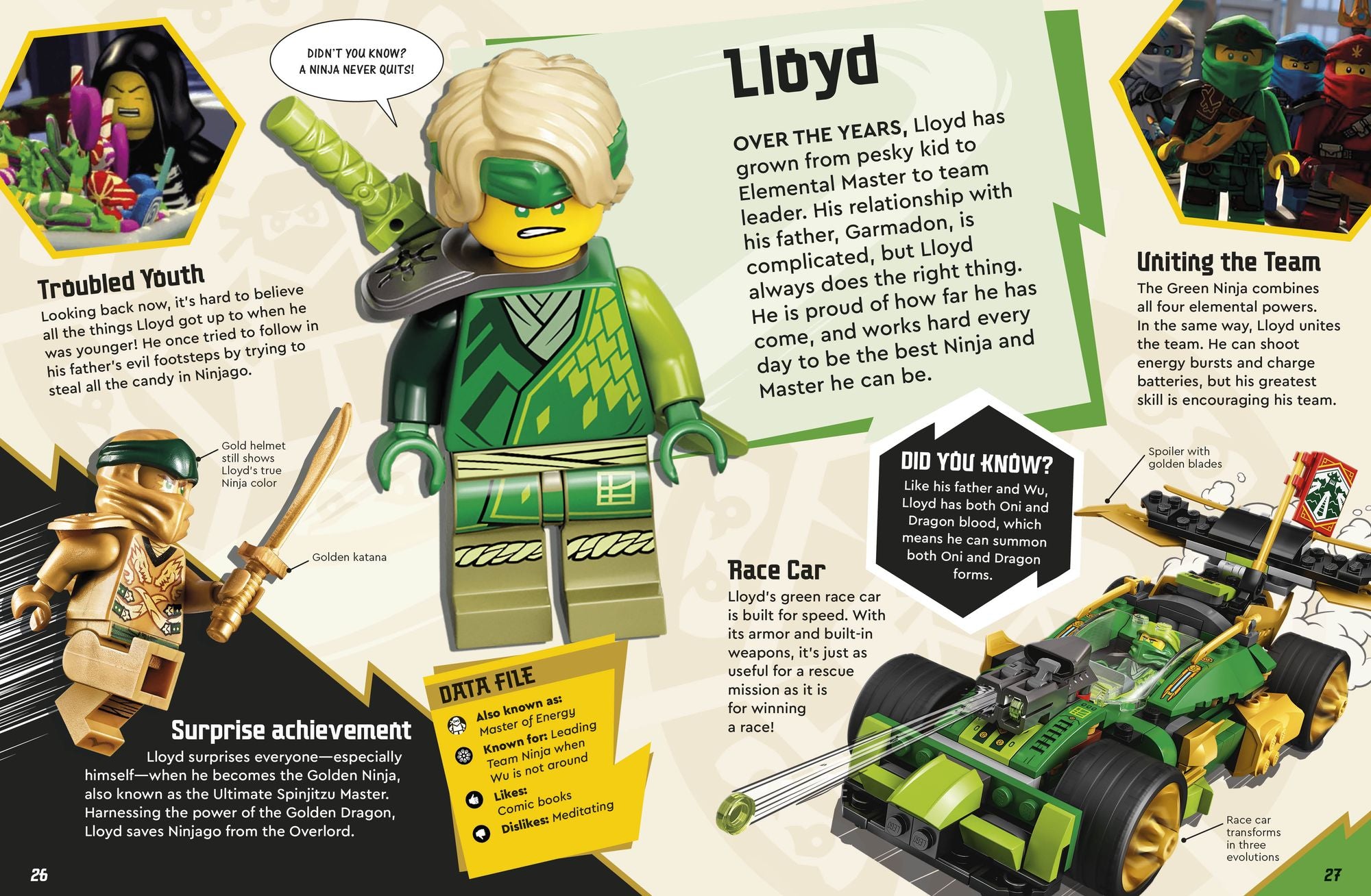 LEGO Ninjago Secret World of the Ninja (Library Edition): Without Minifigure
