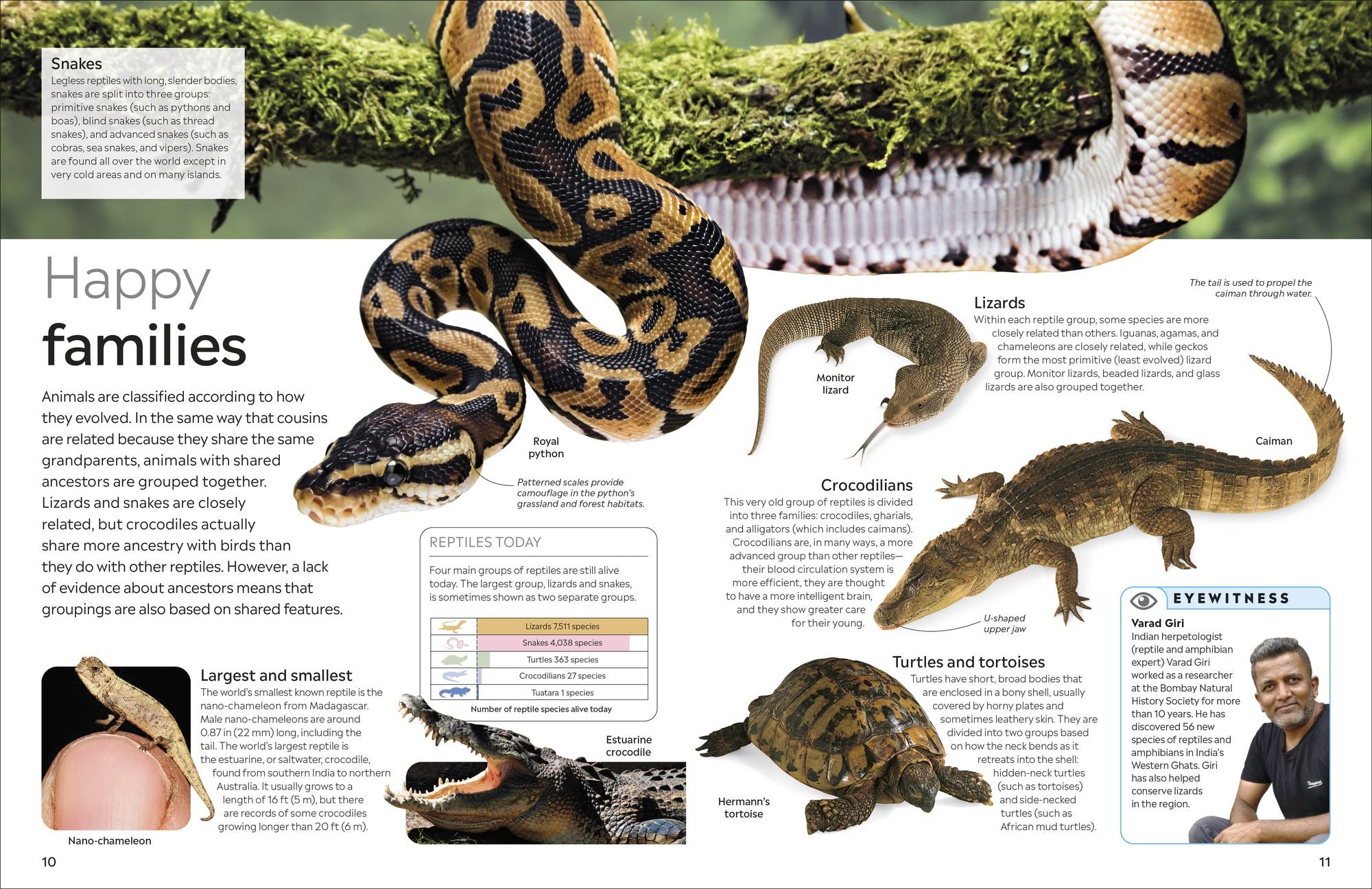 Eyewitness Reptile