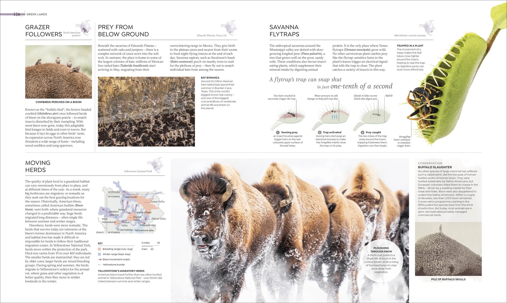 Habitats: Discover Earth's Precious Wild Places