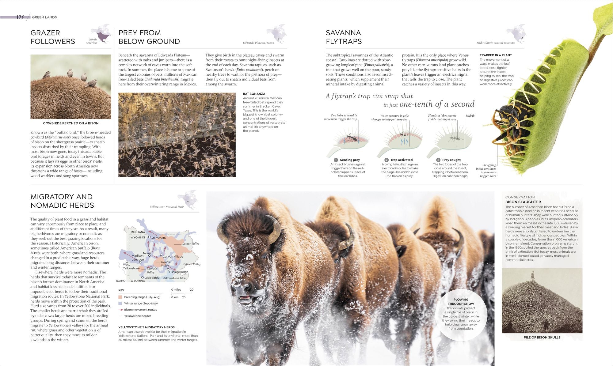 Habitats: Discover Earth's Precious Wild Places