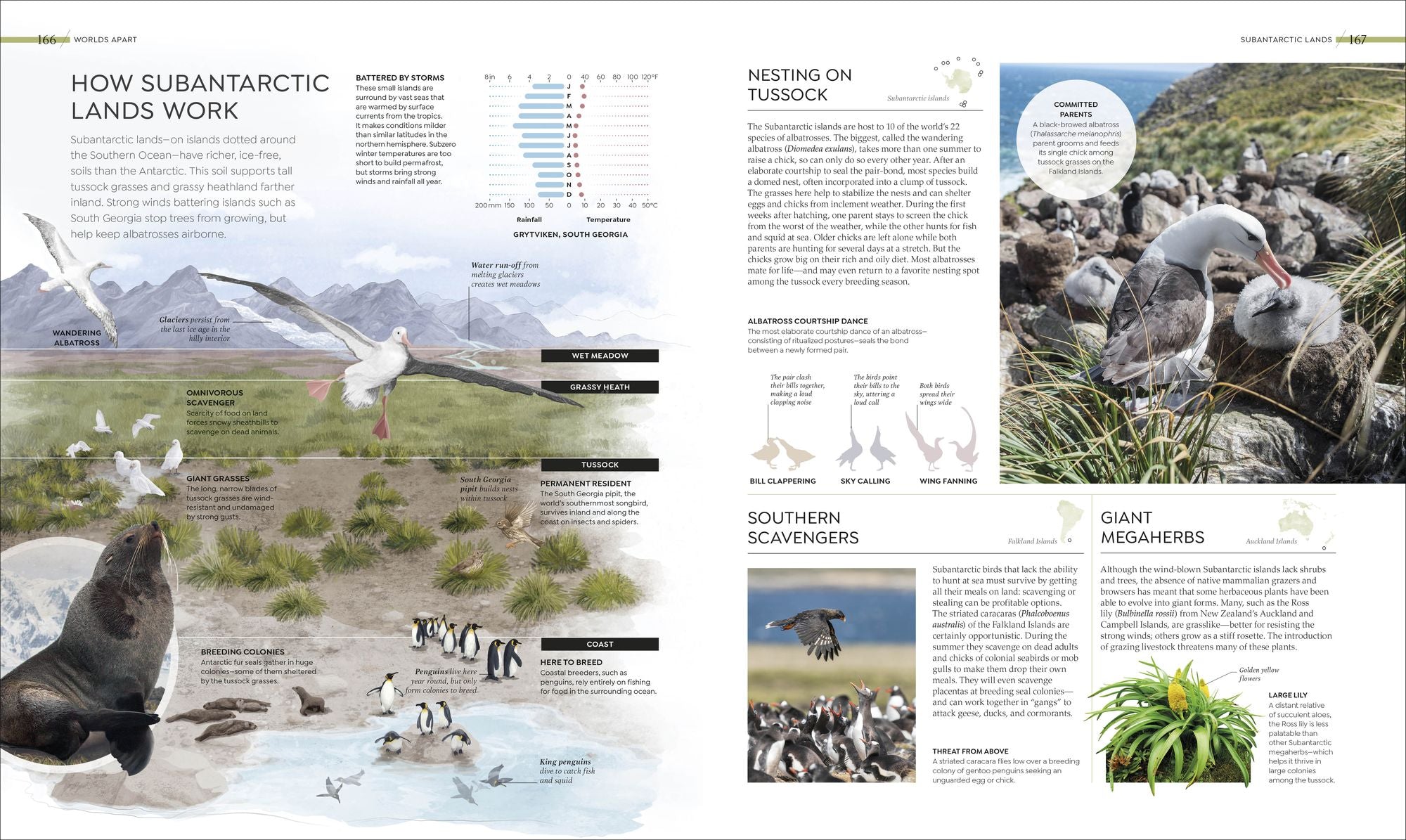 Habitats: Discover Earth's Precious Wild Places