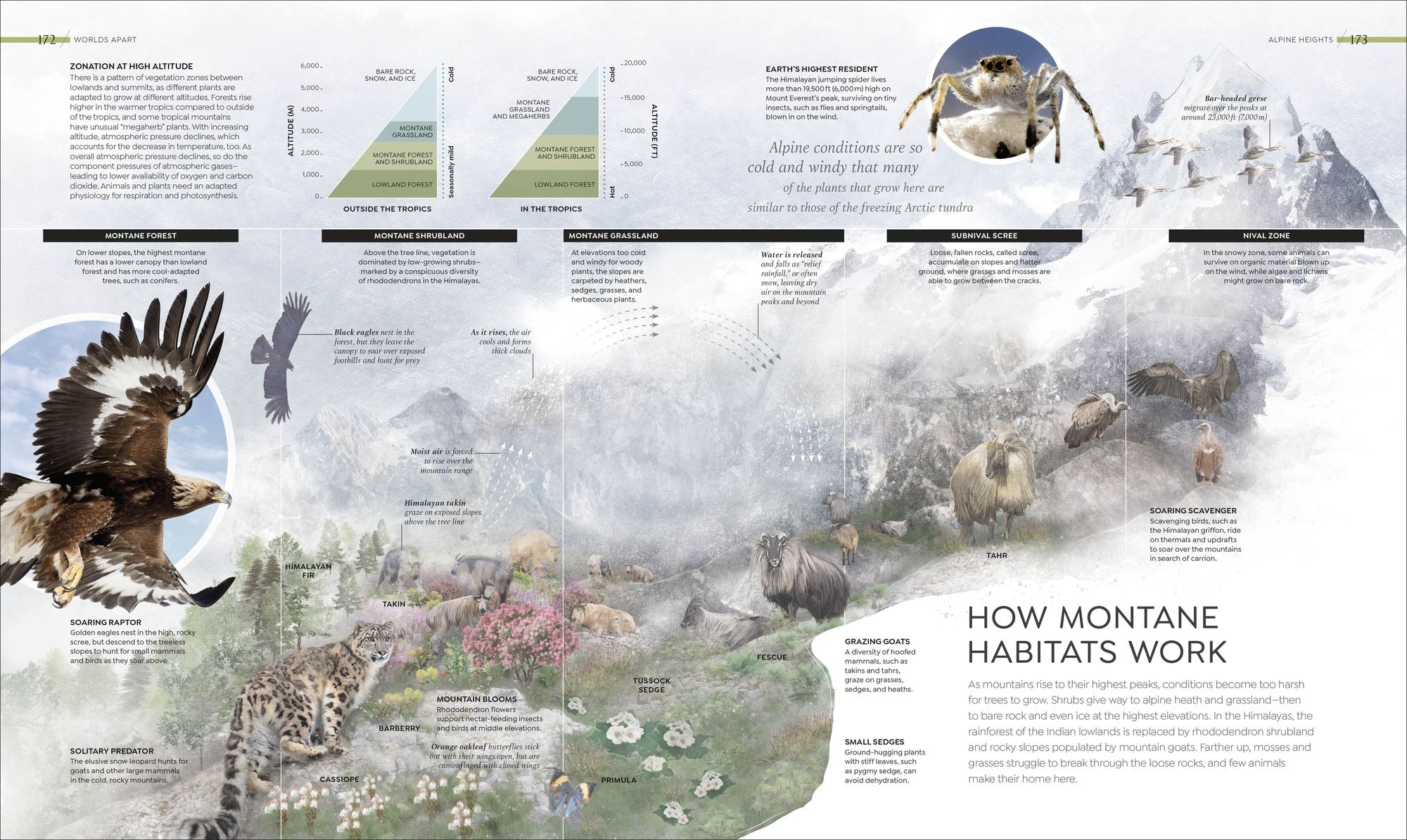 Habitats: Discover Earth's Precious Wild Places
