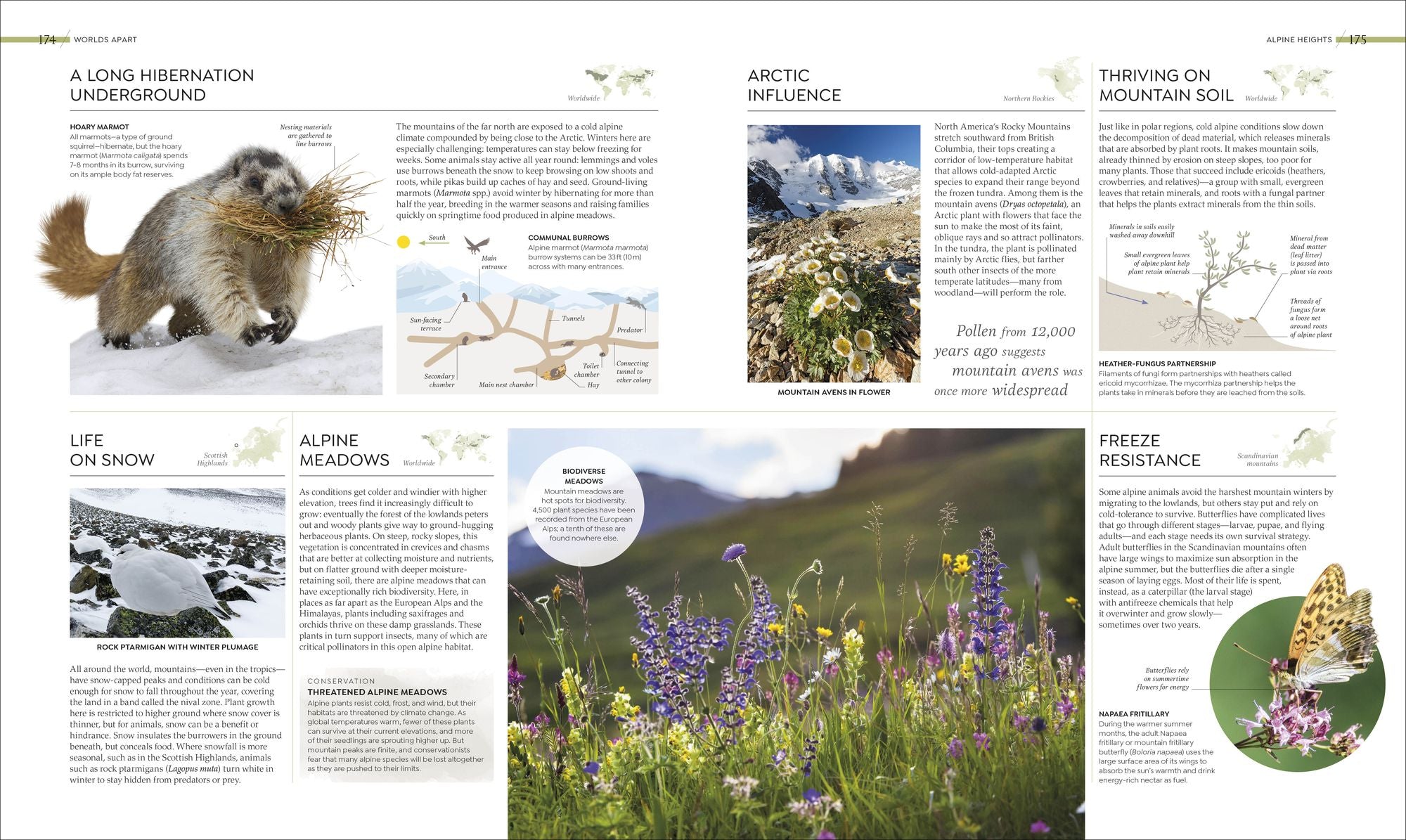 Habitats: Discover Earth's Precious Wild Places