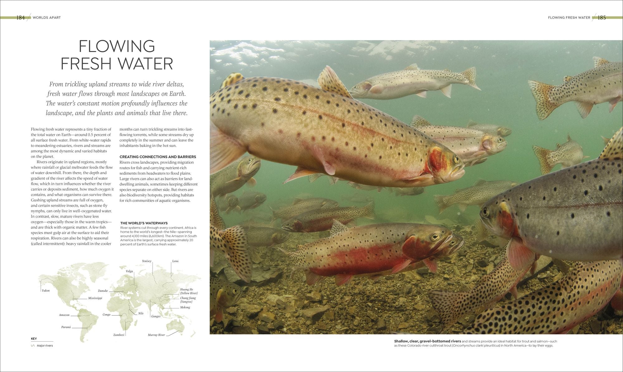 Habitats: Discover Earth's Precious Wild Places