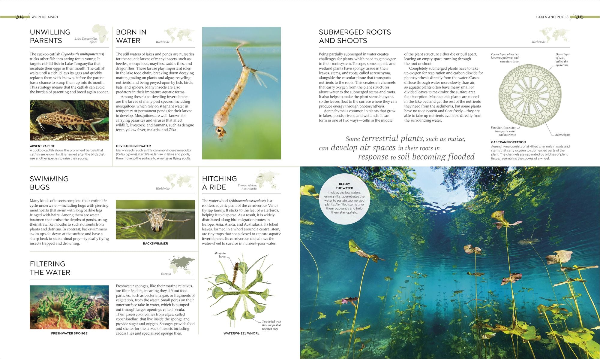 Habitats: Discover Earth's Precious Wild Places