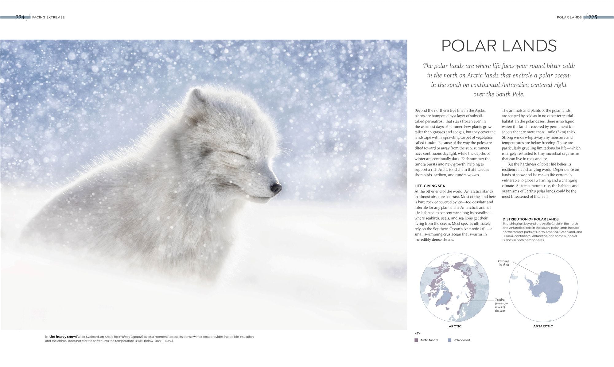 Habitats: Discover Earth's Precious Wild Places