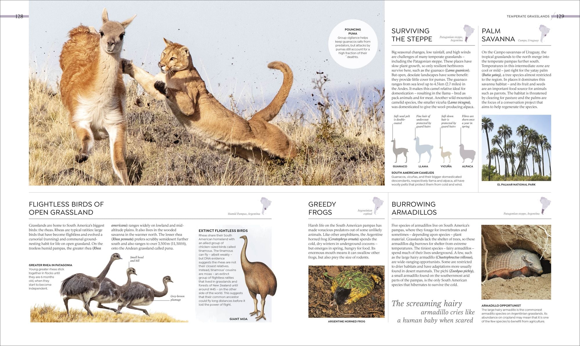 Habitats: Discover Earth's Precious Wild Places
