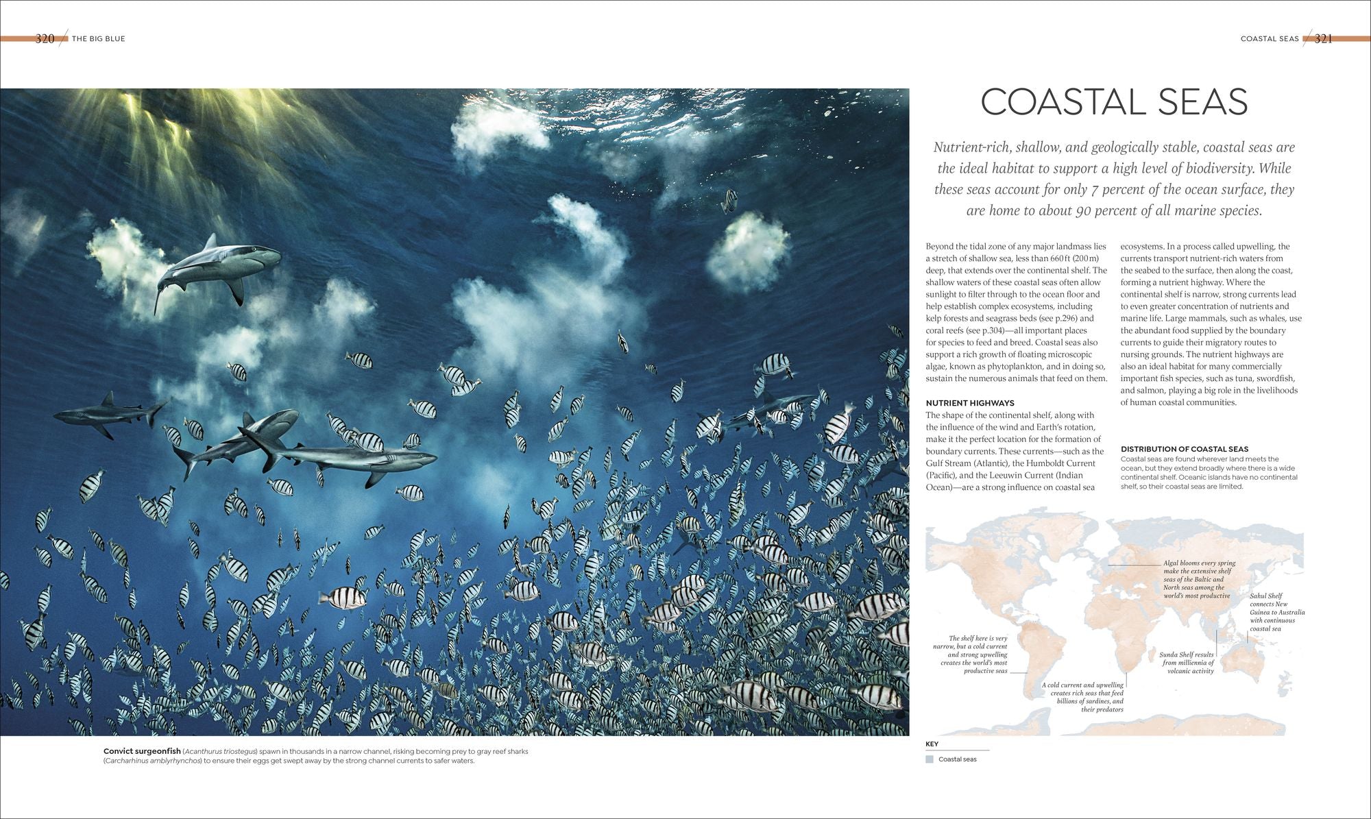 Habitats: Discover Earth's Precious Wild Places