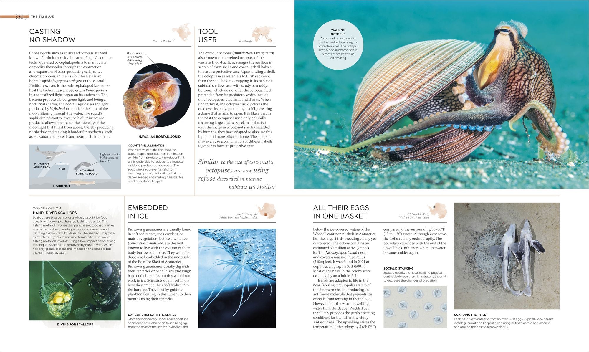 Habitats: Discover Earth's Precious Wild Places