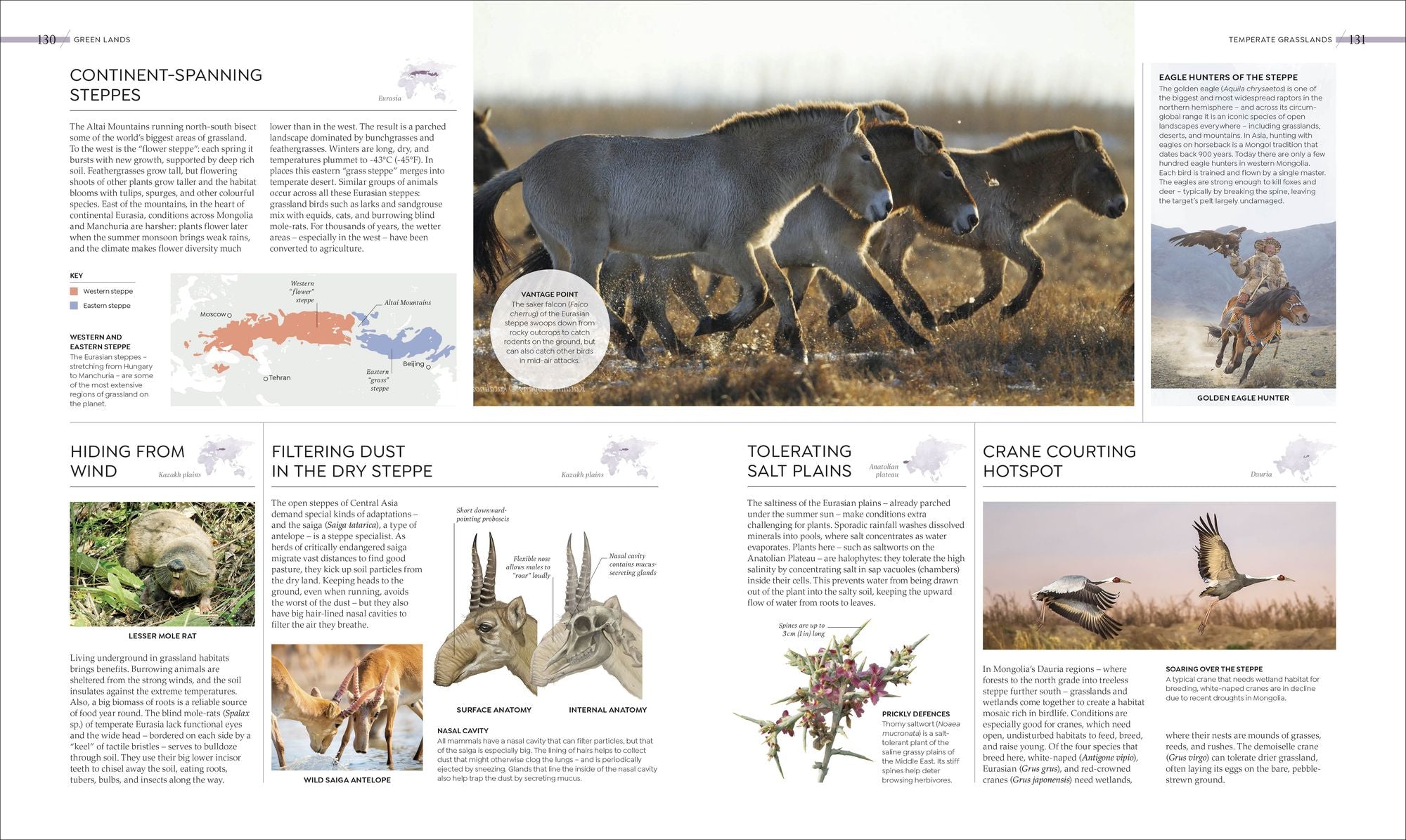 Habitats: Discover Earth's Precious Wild Places