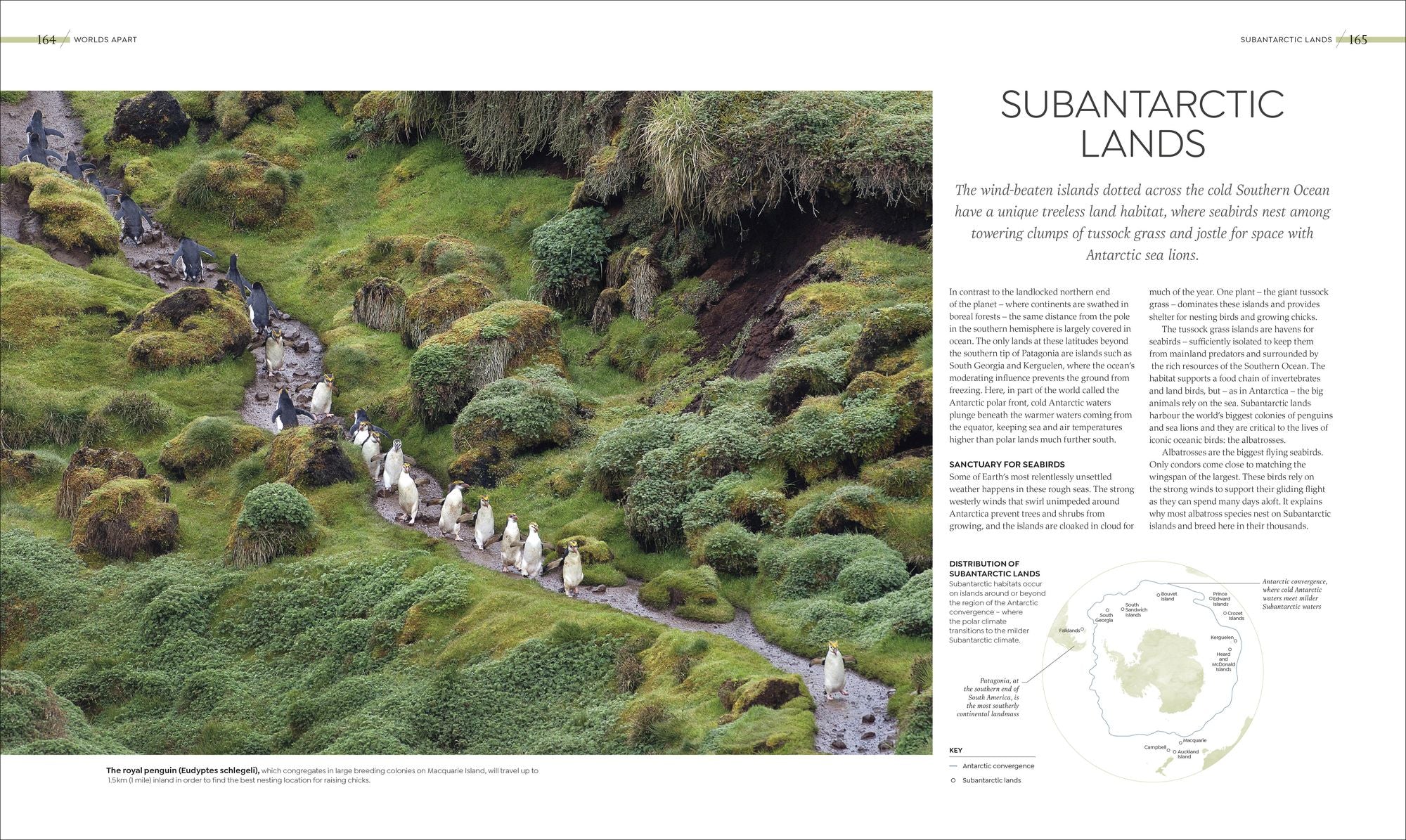 Habitats: Discover Earth's Precious Wild Places