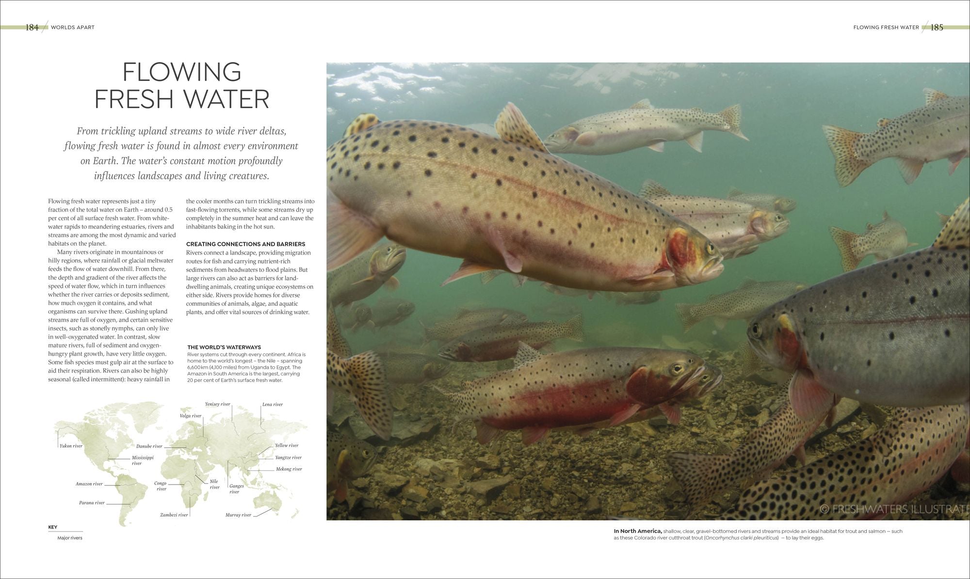 Habitats: Discover Earth's Precious Wild Places