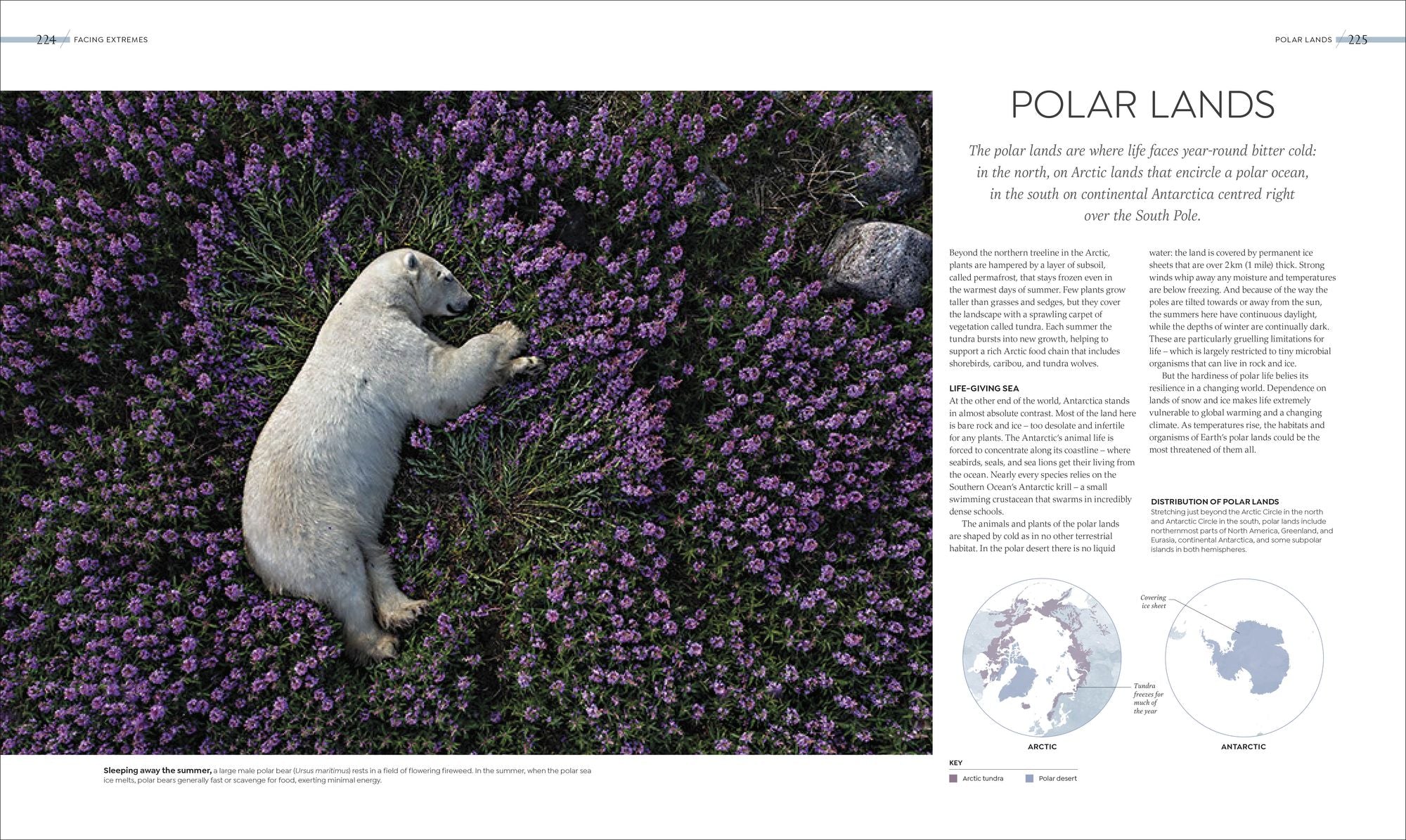 Habitats: Discover Earth's Precious Wild Places
