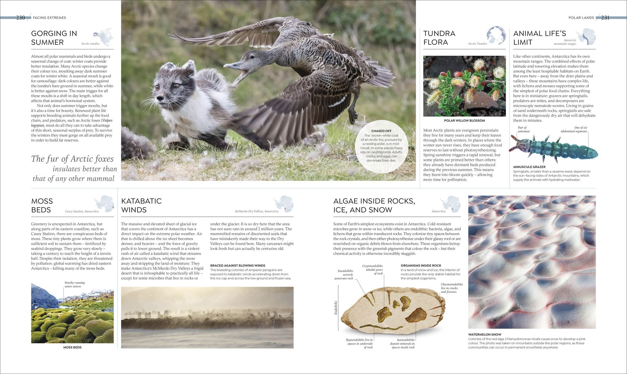 Habitats: Discover Earth's Precious Wild Places