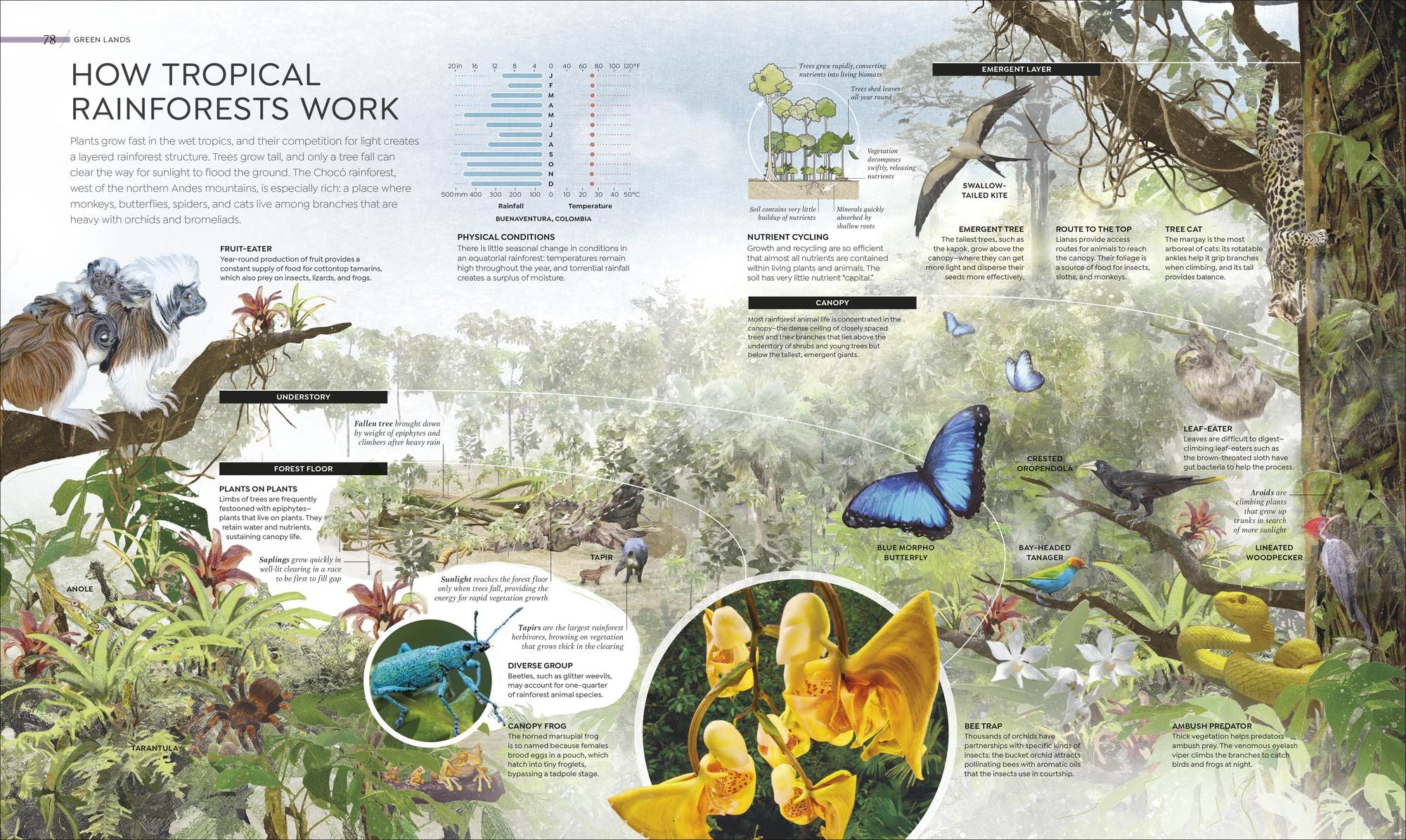 Habitats: Discover Earth's Precious Wild Places