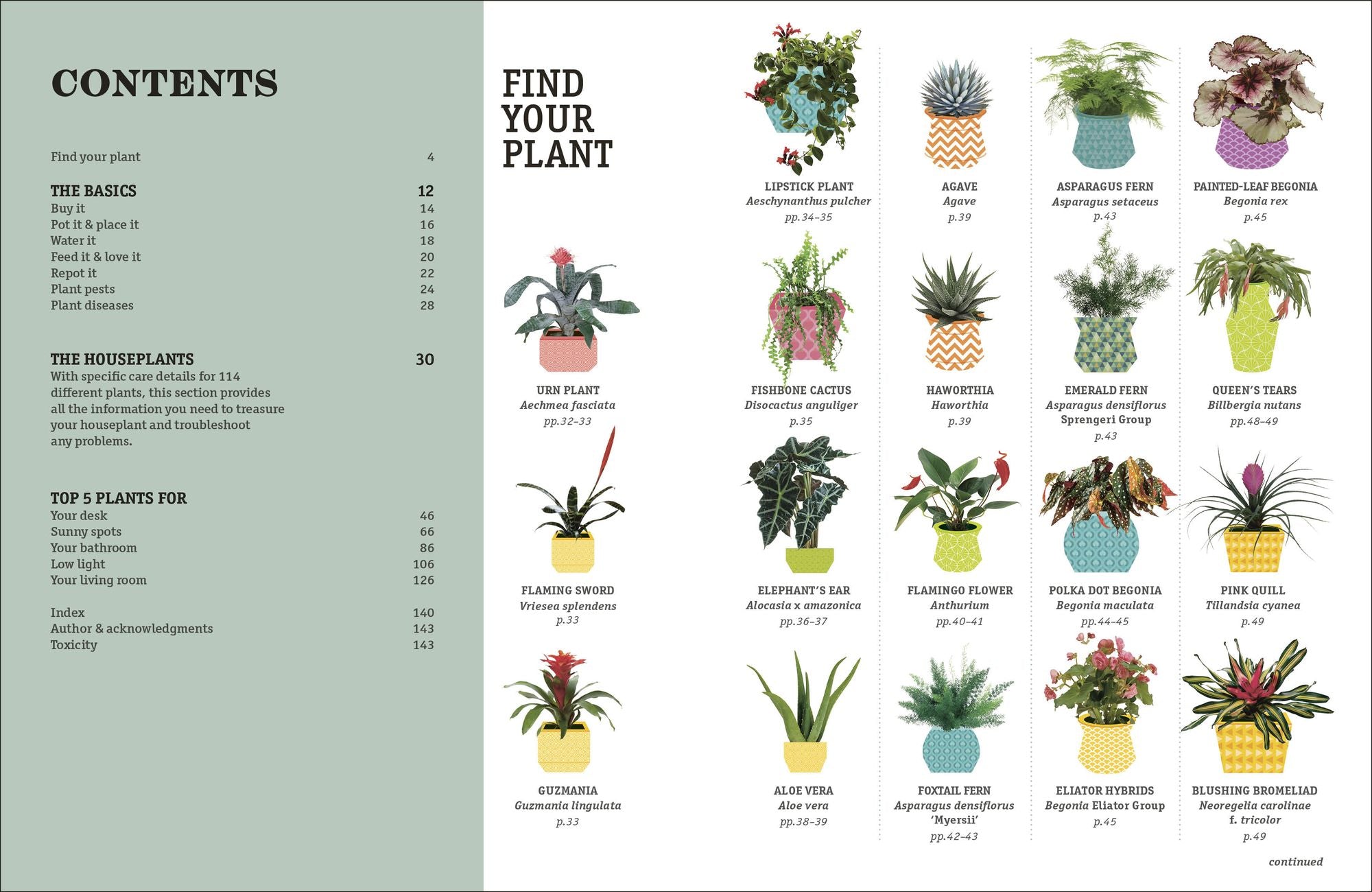 How Not to Kill Your Houseplant New Edition: Survival Tips for the Horticulturally Challenged