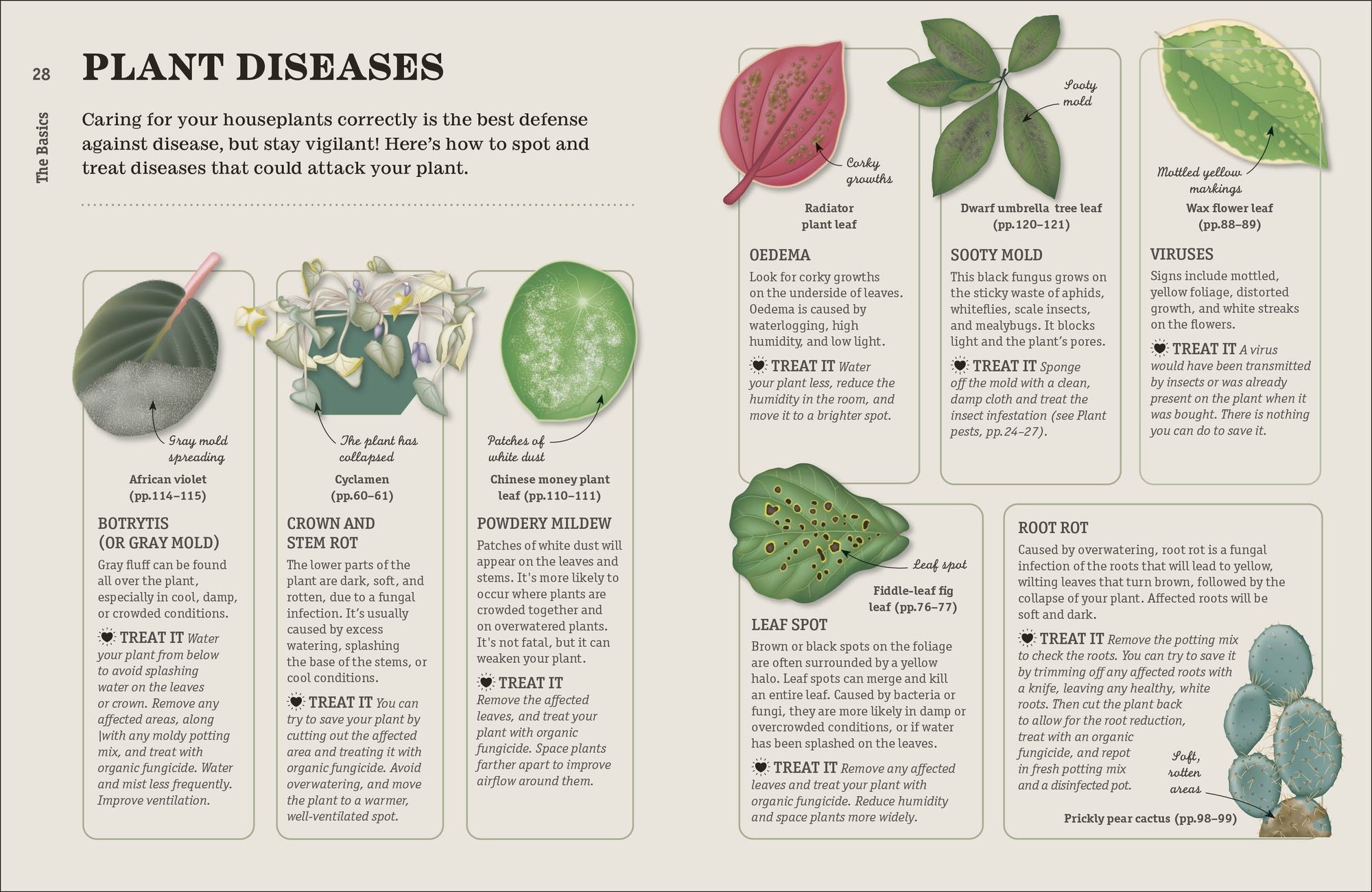 How Not to Kill Your Houseplant New Edition: Survival Tips for the Horticulturally Challenged