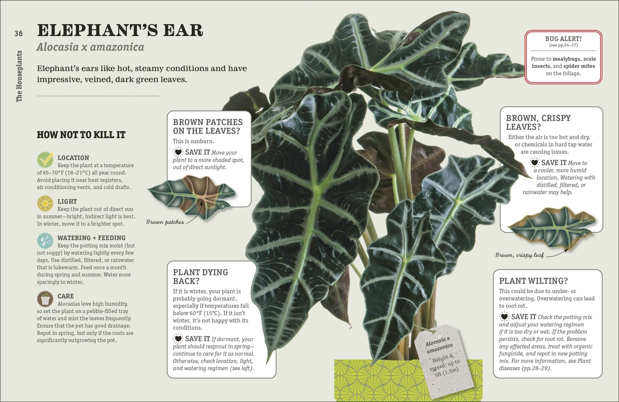How Not to Kill Your Houseplant New Edition: Survival Tips for the Horticulturally Challenged