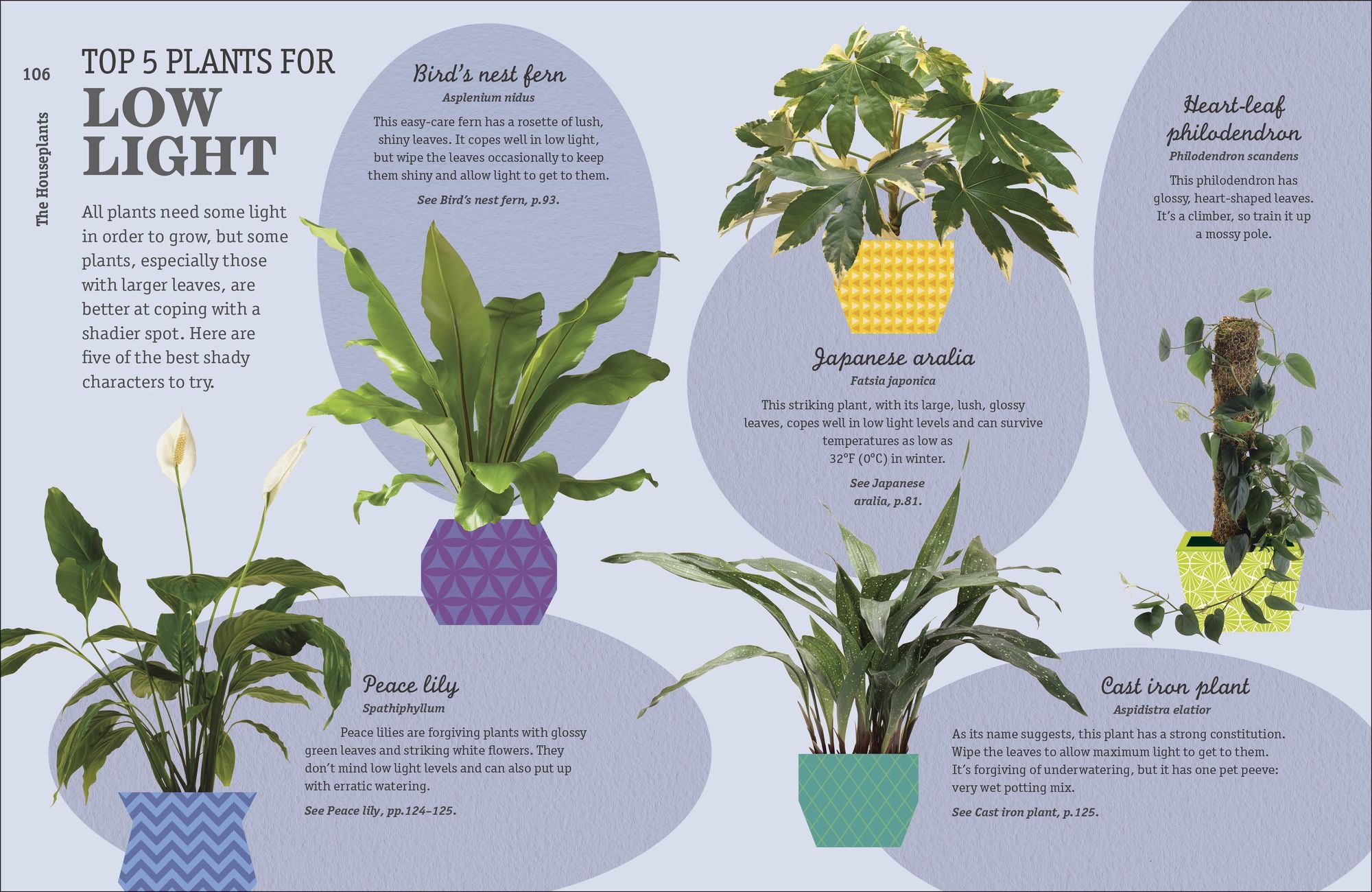How Not to Kill Your Houseplant New Edition: Survival Tips for the Horticulturally Challenged