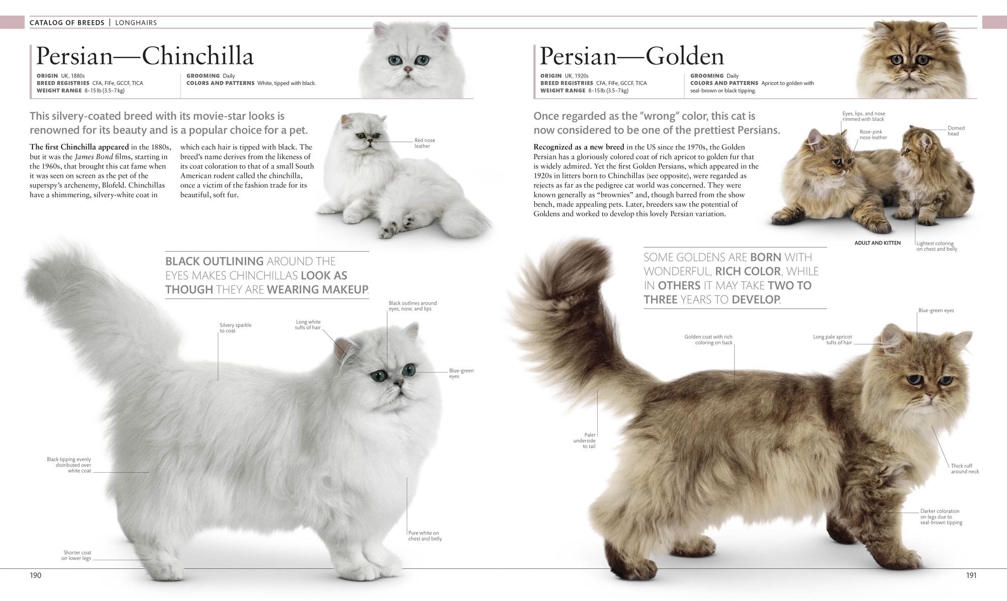 The Cat Encyclopedia: The Definitive Visual Guide