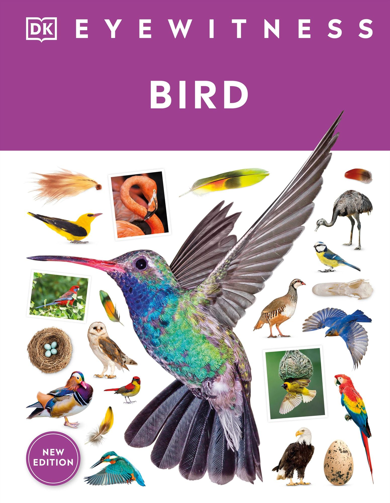 Eyewitness Bird