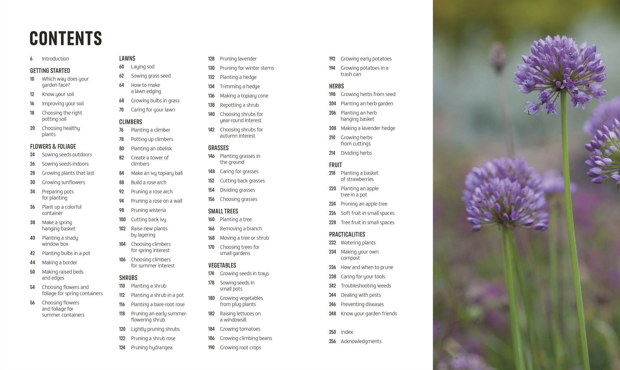 Beginner Gardening Step by Step: A Visual Guide to Yard and Garden Basics