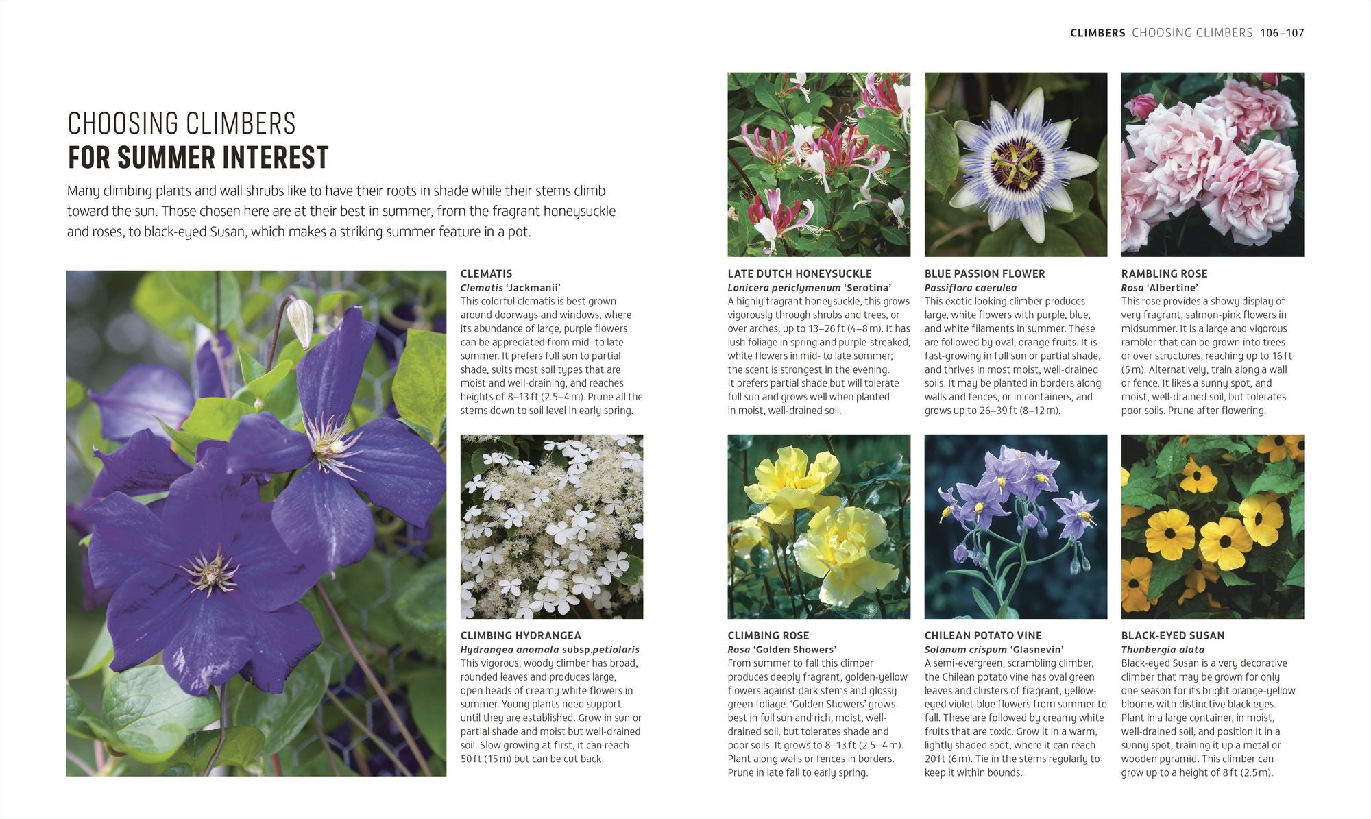 Beginner Gardening Step by Step: A Visual Guide to Yard and Garden Basics