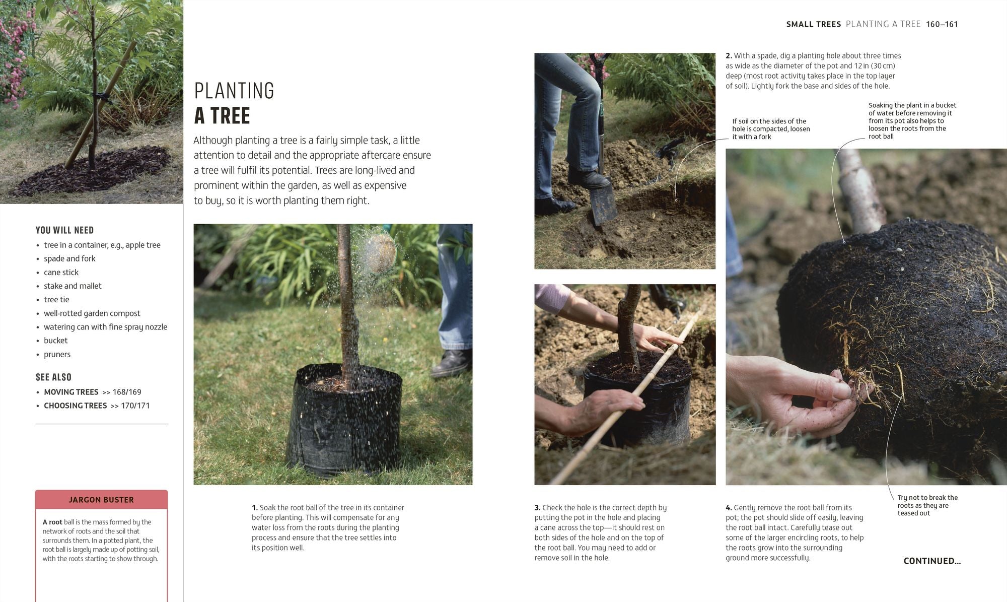 Beginner Gardening Step by Step: A Visual Guide to Yard and Garden Basics